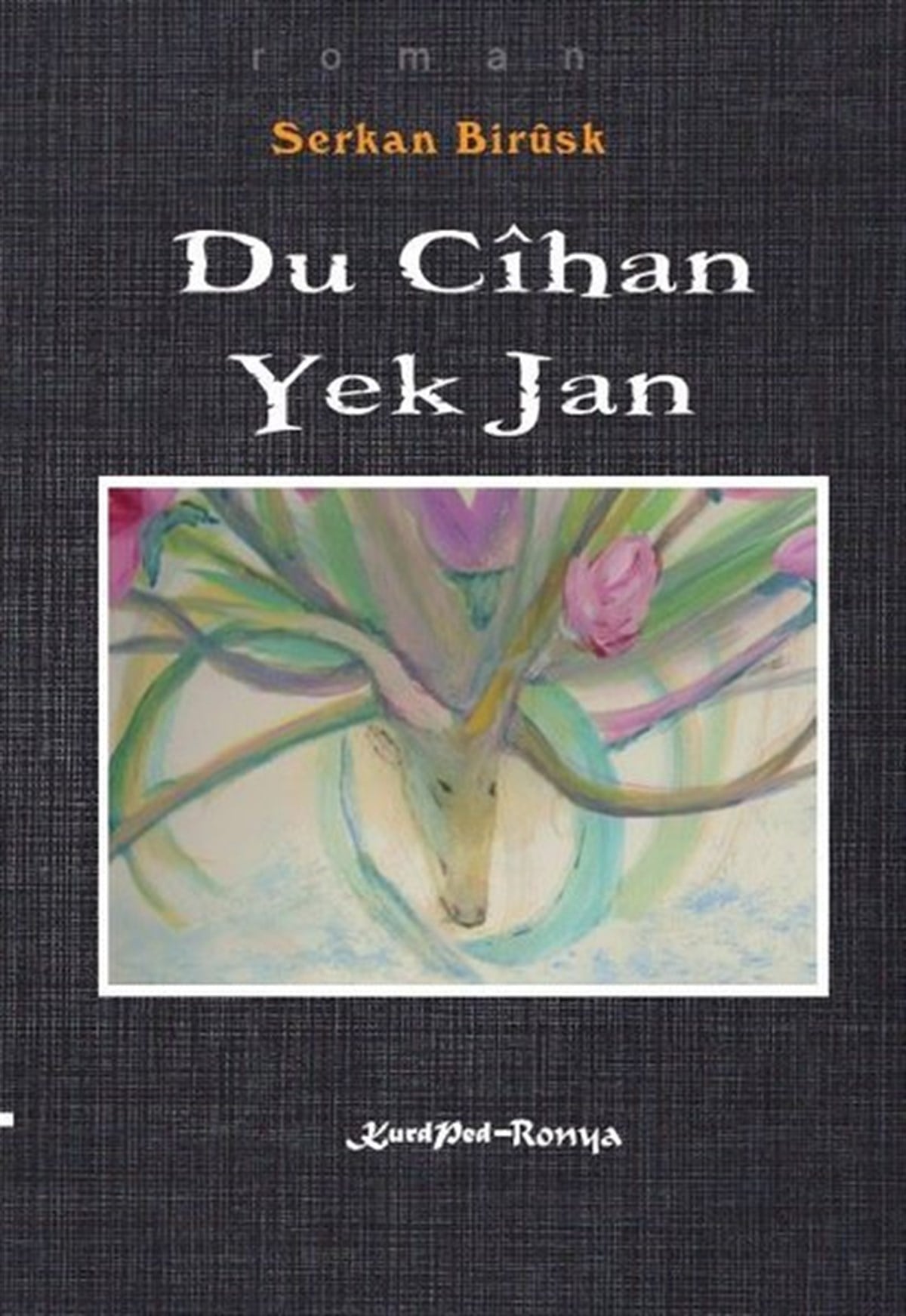 Serkan BiruskKürtçeDu Cihan Yek Jan
