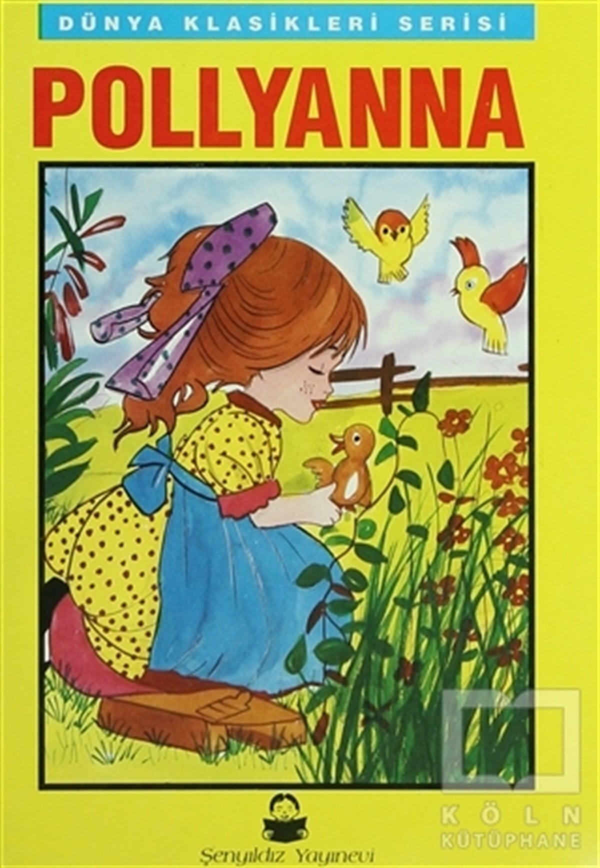 DerlemeRoman-ÖyküDünya Klasikleri Dizisi (20 Kitap Takım)