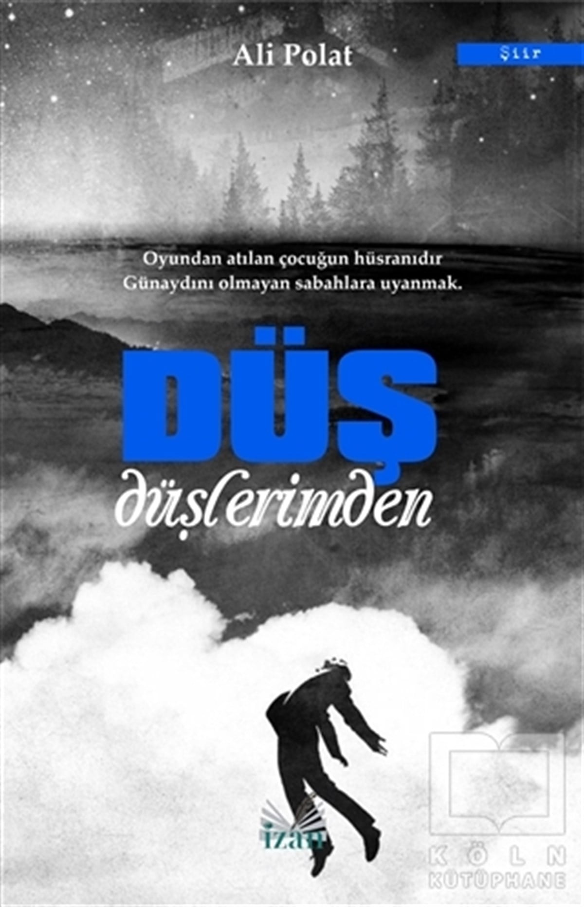 Ali PolatTürkçe Şiir KitaplarıDüş Düşlerimden