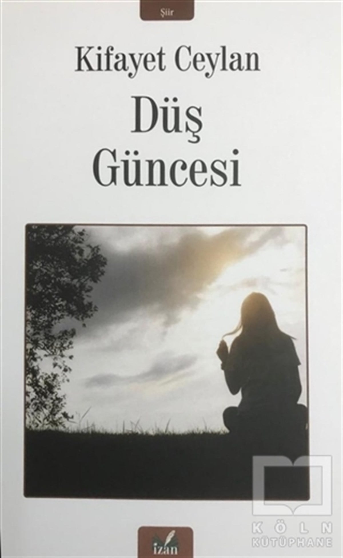Kifayet CeylanTürkçe Şiir KitaplarıDüş Güncesi