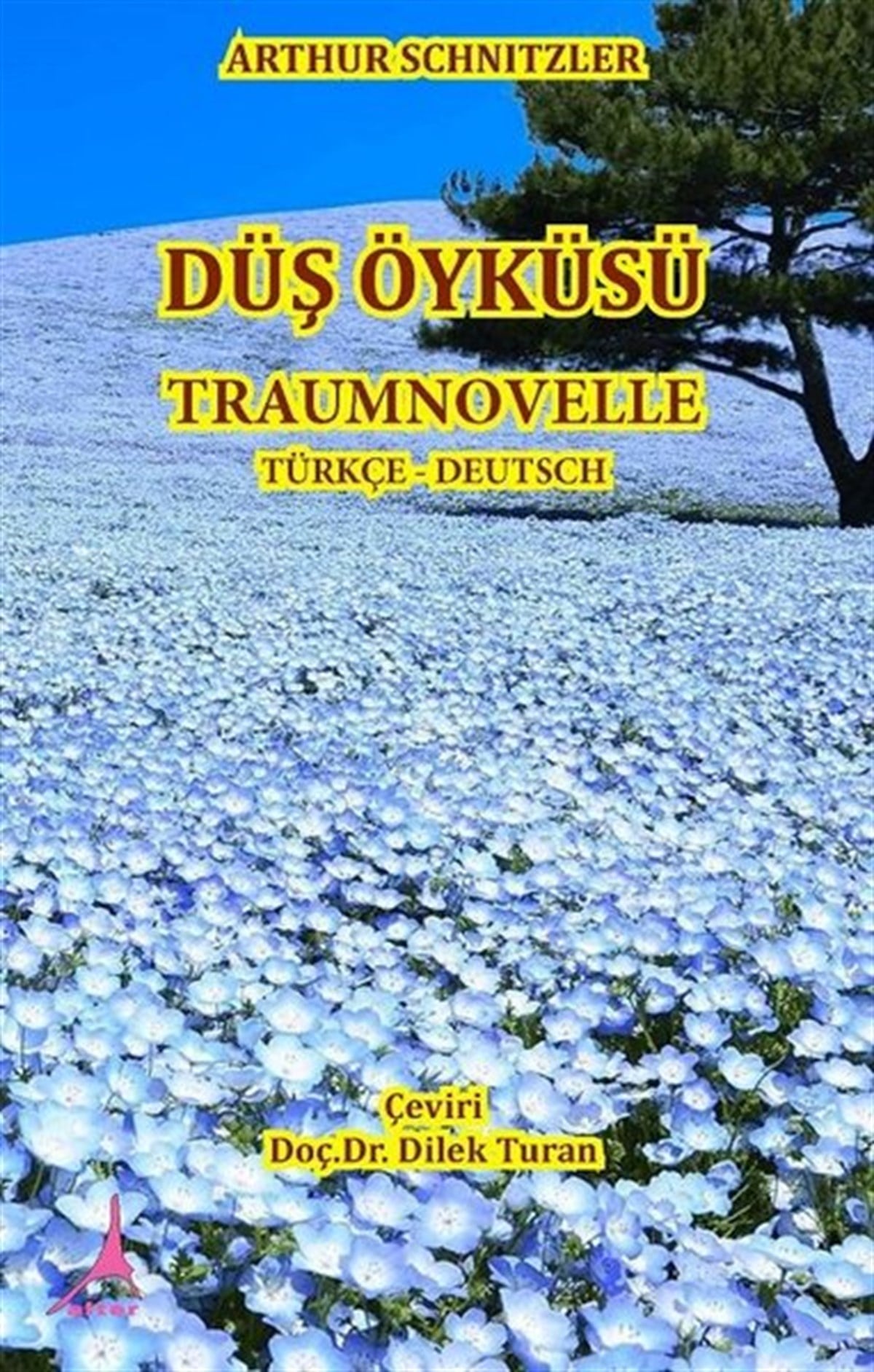 Arthur SchnitzlerHikaye (Öykü) KitaplarıDüş Öyküsü-Traumnovelle