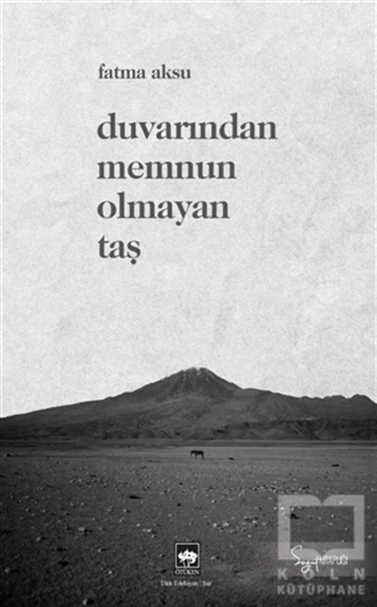 Fatma AksuTürkçe Şiir KitaplarıDuvarından Memnun Olmayan Taş
