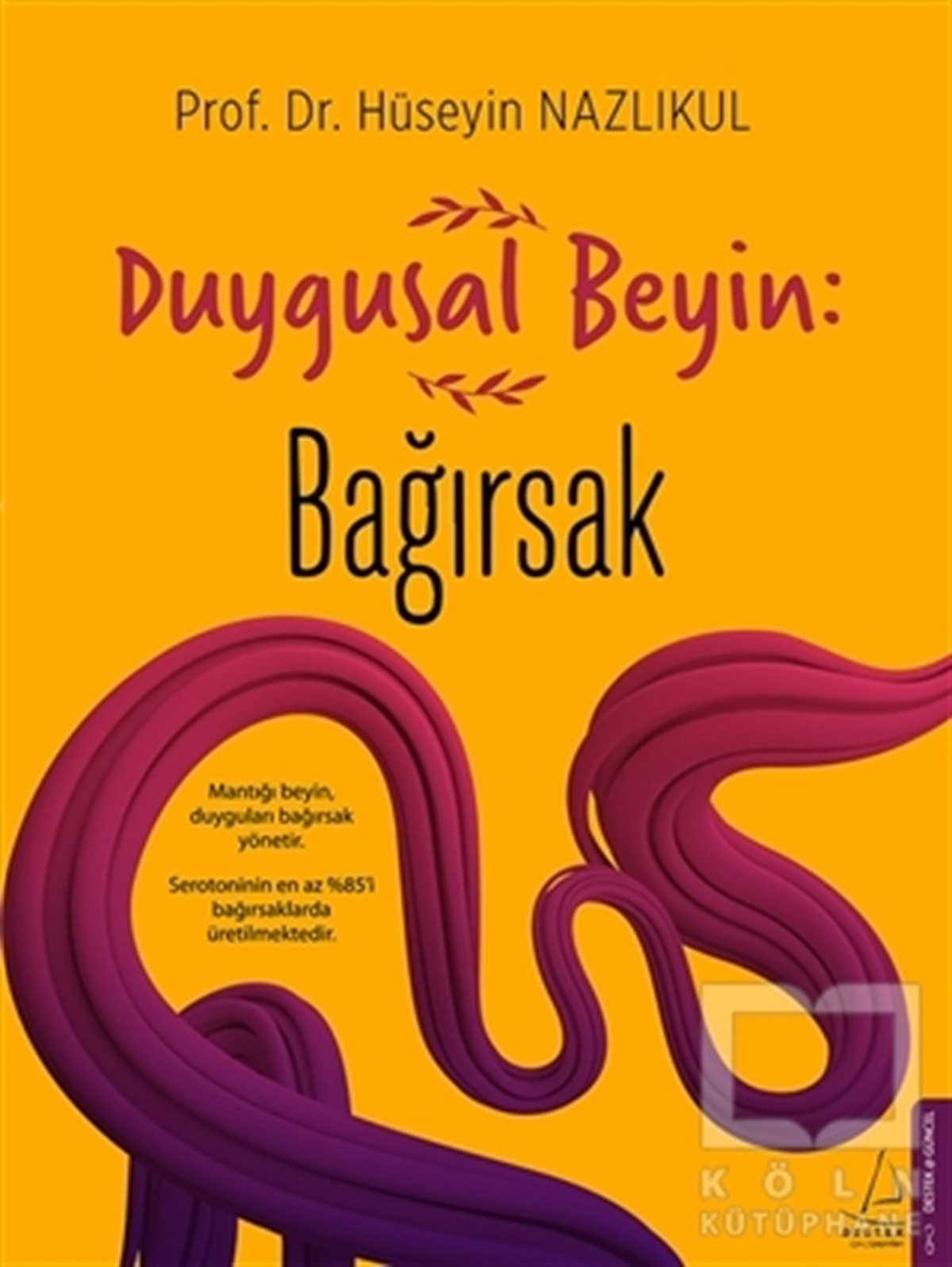 Hüseyin NazlıkulGenel Sağlık KitaplarıDuygusal Beyin: Bağırsak