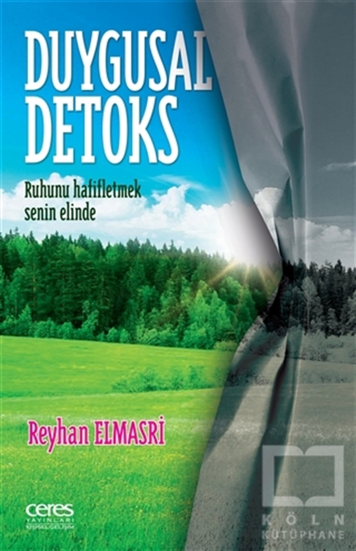Reyhan ElmasriKişisel GelişimDuygusal Detoks