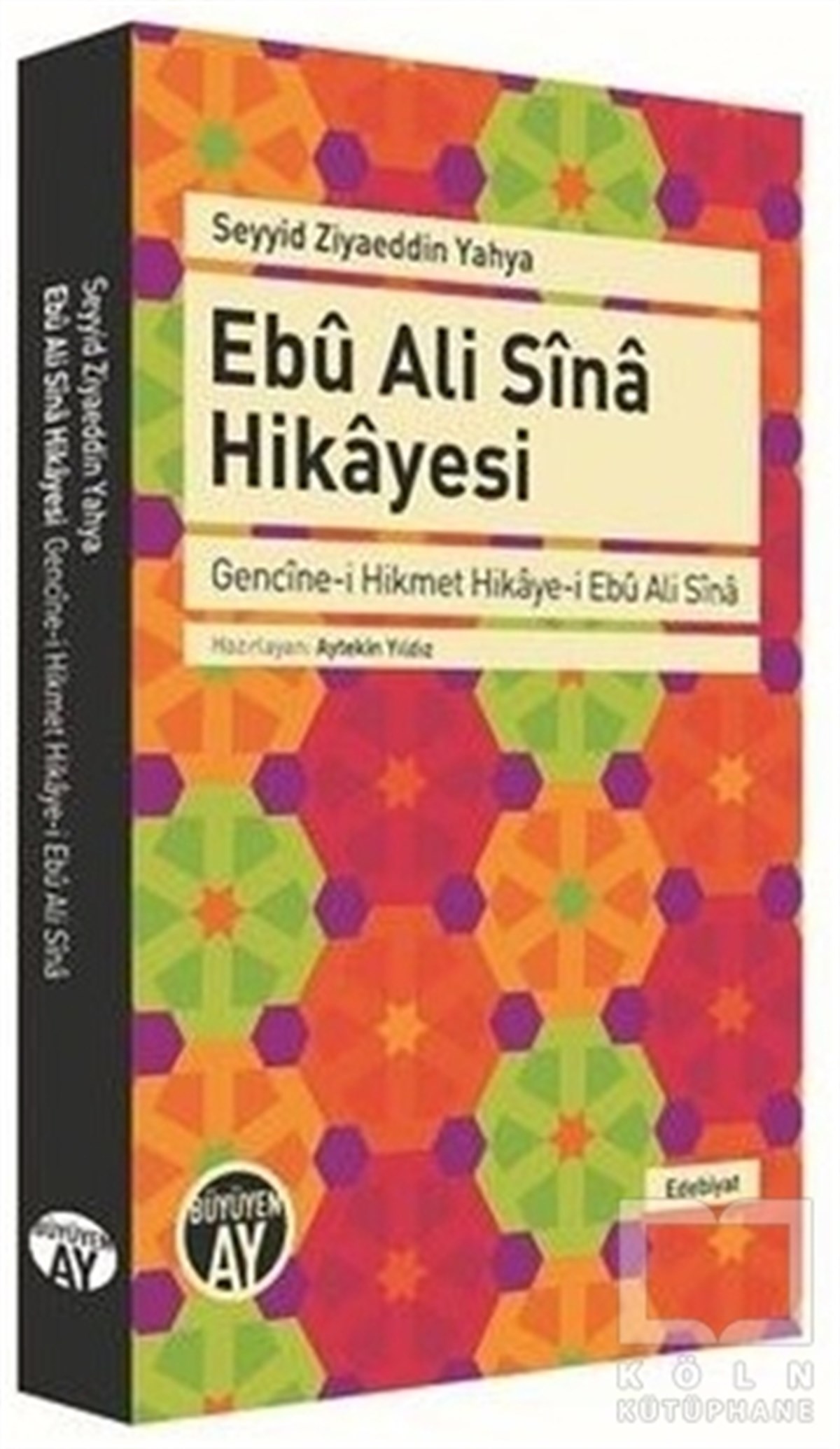 Seyyid Ziyaeddin YahyaFilozoflar (Biyografiler)Ebu Ali Sina Hikayesi