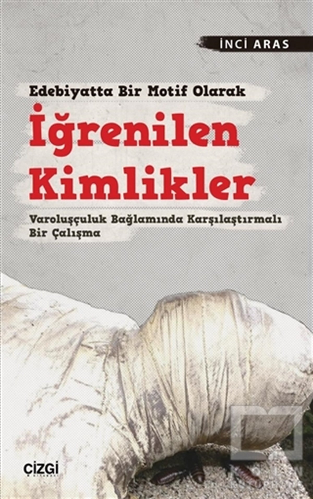 İnci ArasAraştırma-İnceleme-ReferansEdebiyatta Bir Motif Olarak İğrenilen Kimlikler