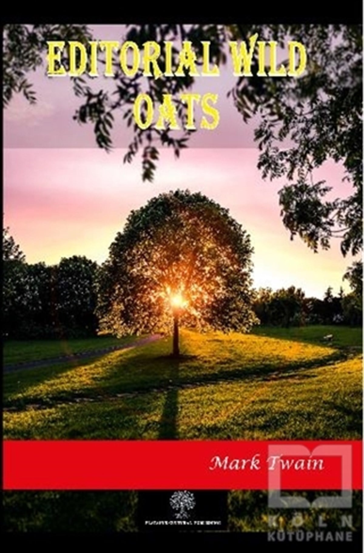 Mark TwainTürkçe RomanlarEditorial Wild Oats