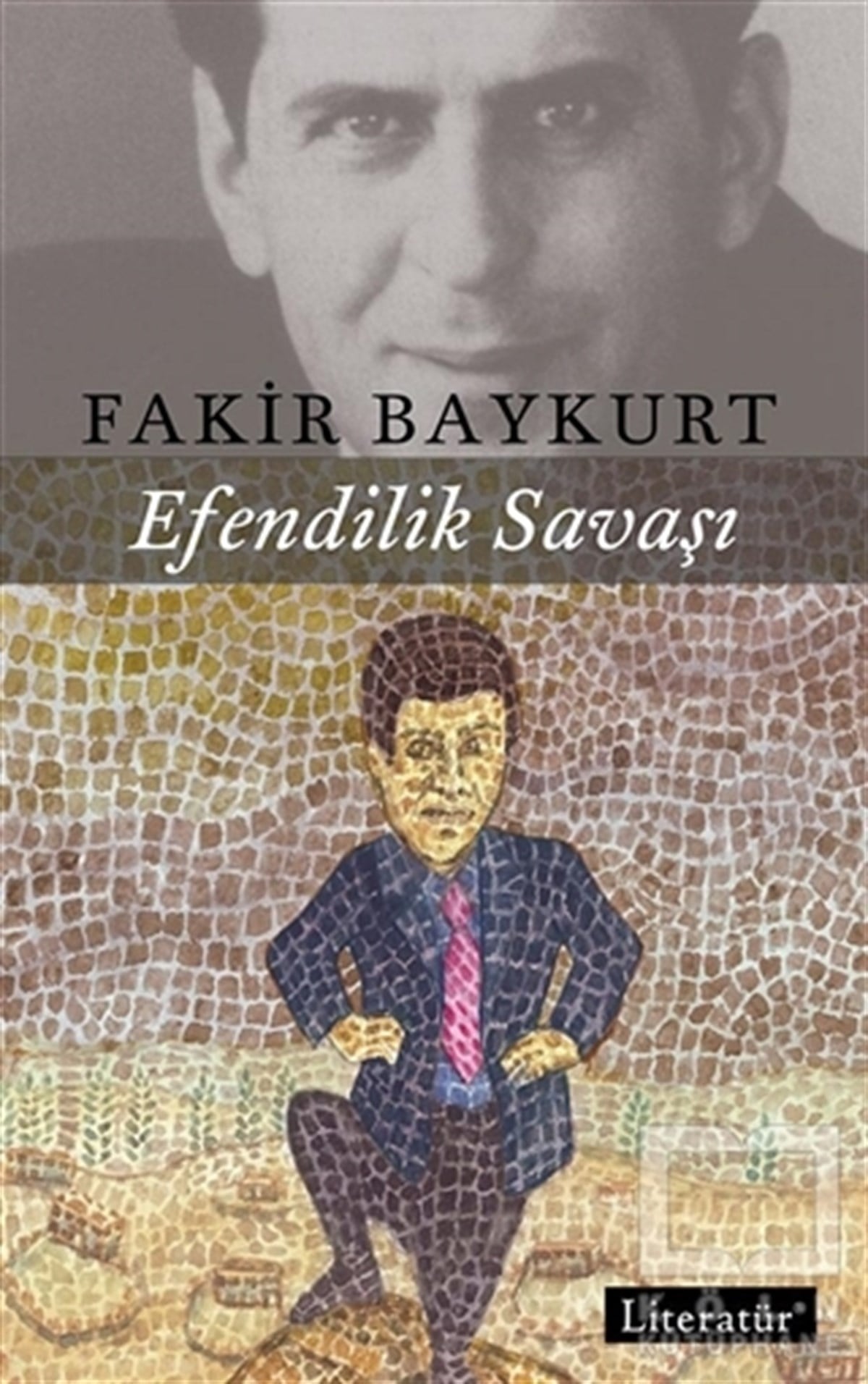 Fakir BaykurtÖyküEfendilik Savaşı
