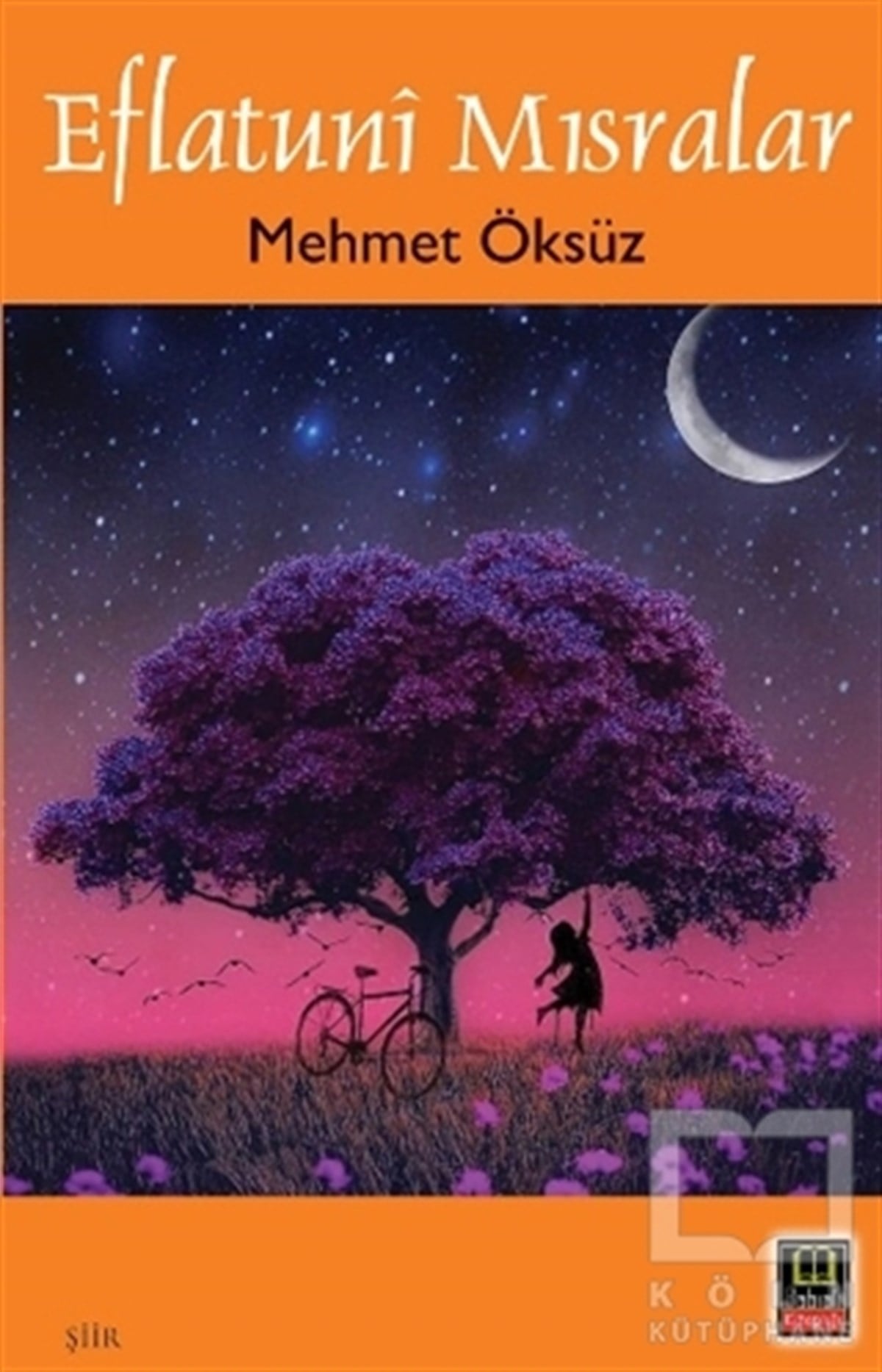 Mehmet ÖksüzŞiirEflatuni Mısralar