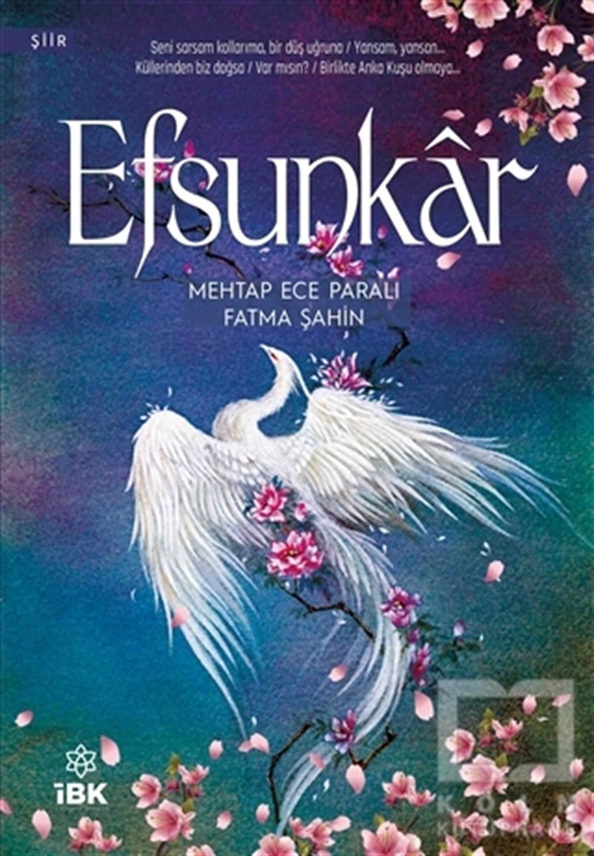 Fatma ŞahinTürkçe Şiir KitaplarıEfsunkar