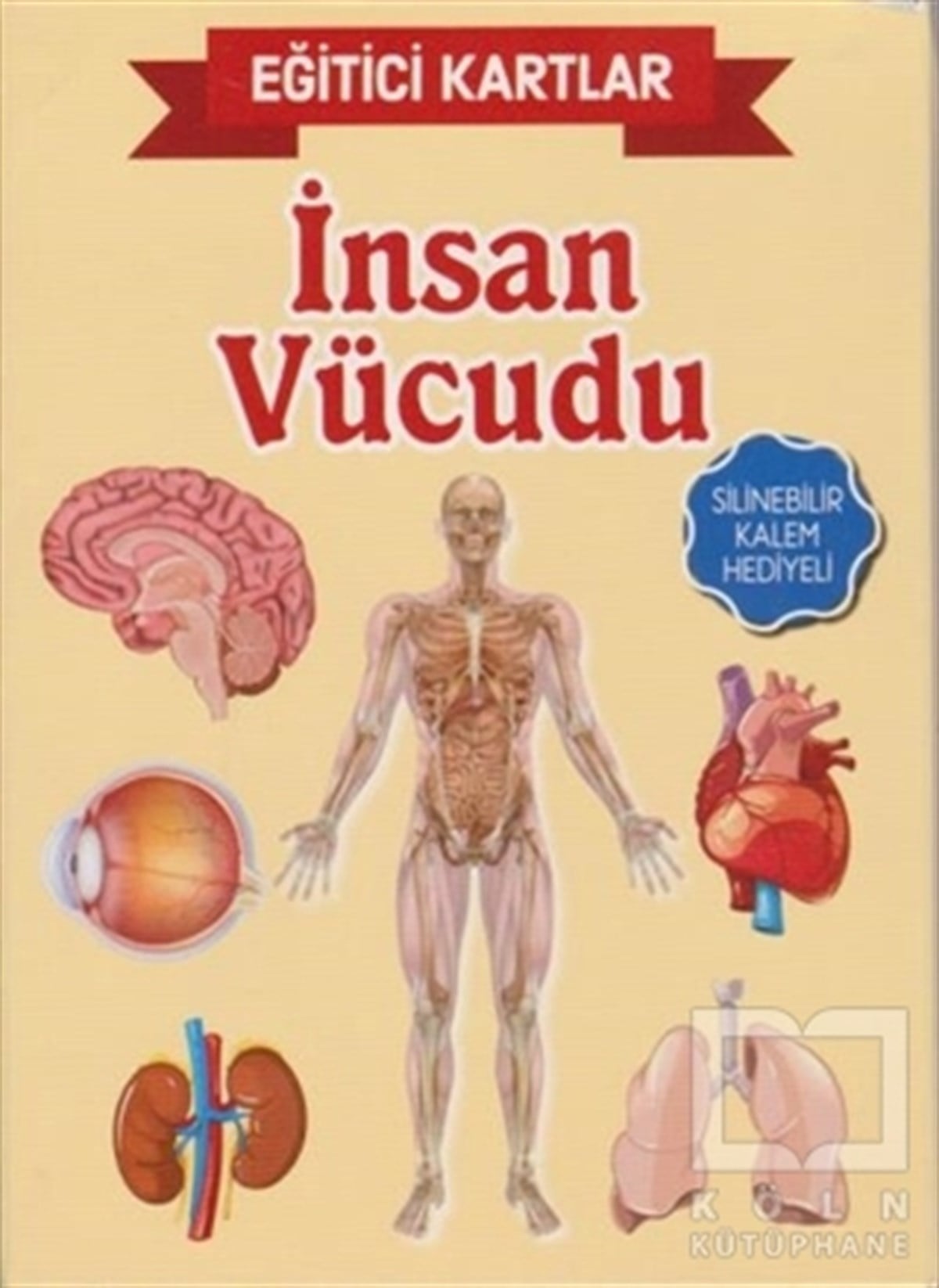 KolektifZeka GelişimiEğitici Kartlar - İnsan Vücüdu