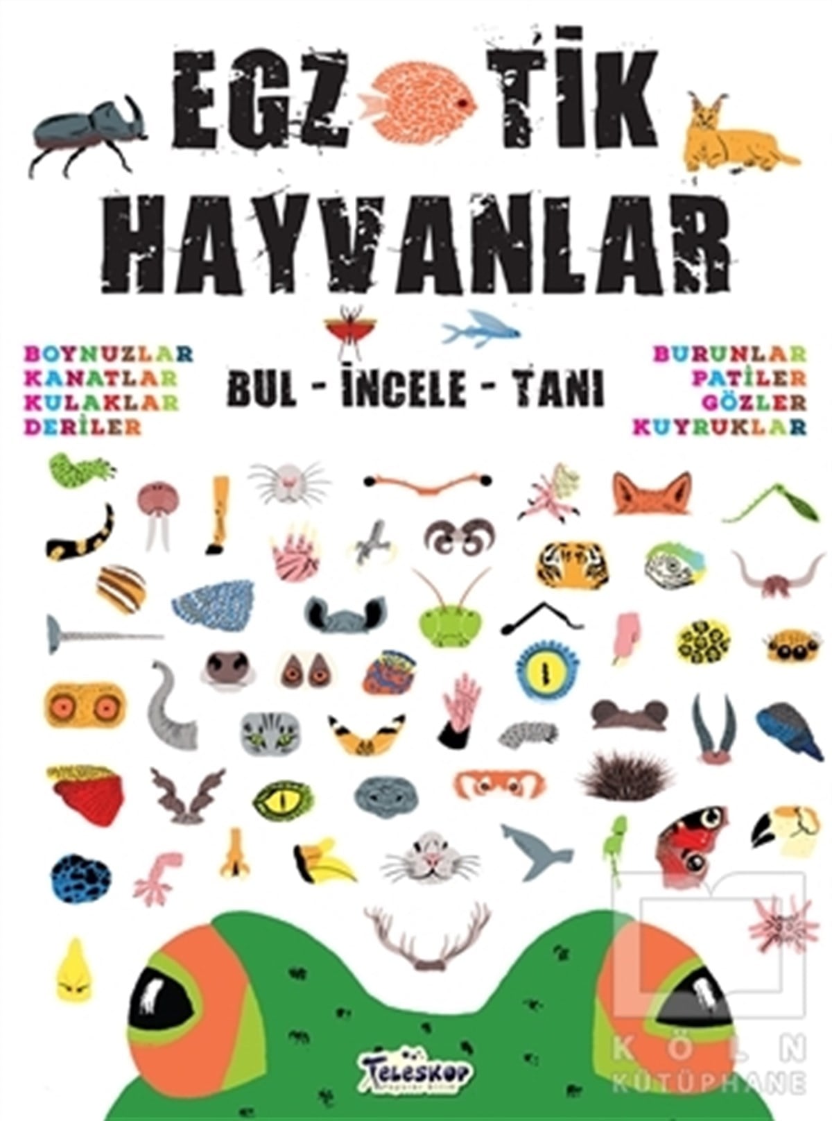 KolektifZeka Gelişimi KitaplarıEgzotik Hayvanlar Bul İncele Tanı