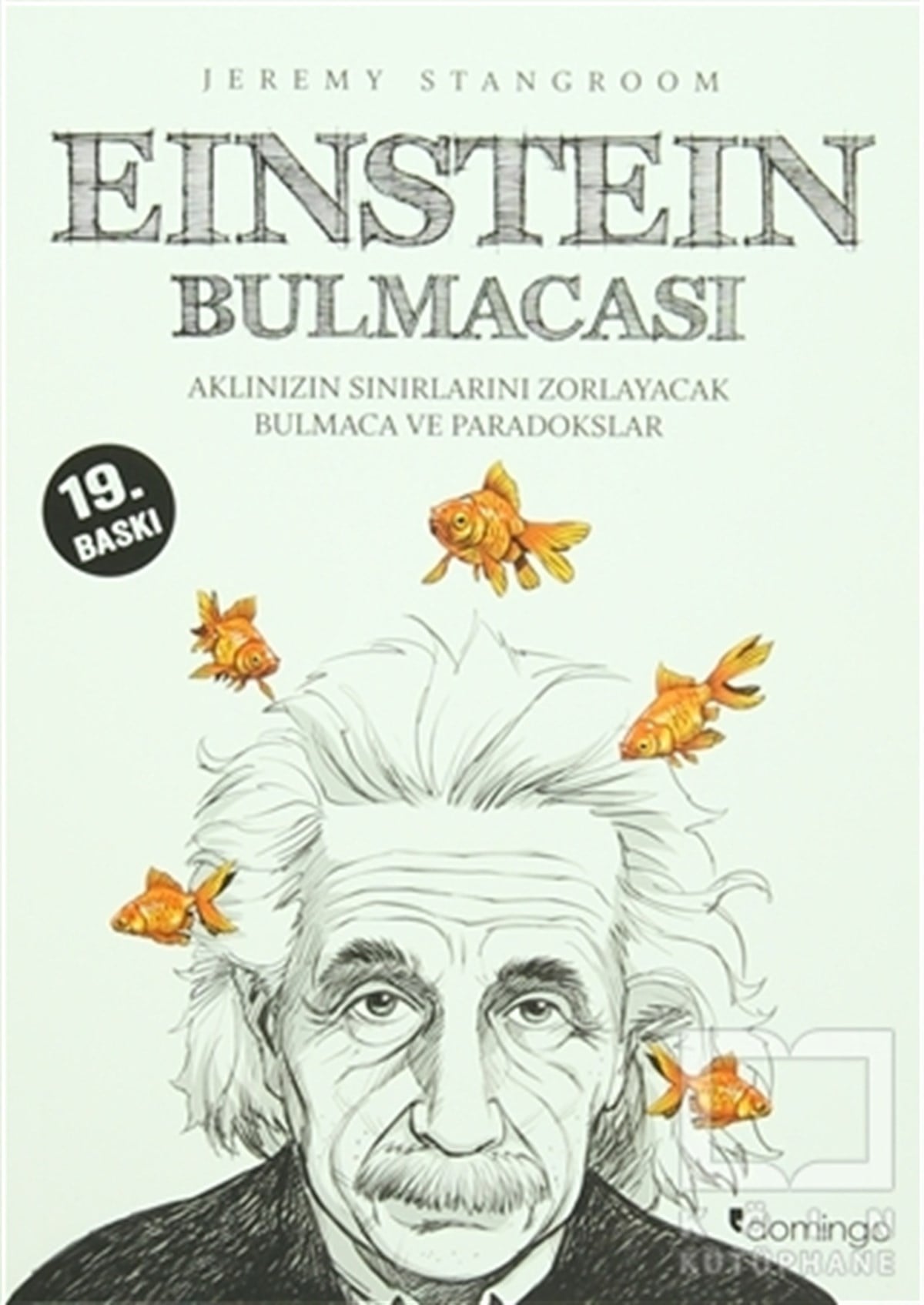 Jeremy StangroomBilmeceler, BulmacalarEinstein Bulmacası 1