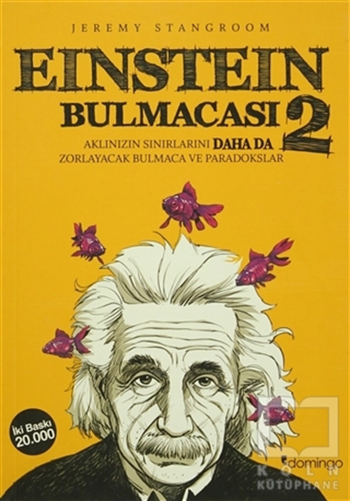 Jeremy StangroomPopüler BilimEinstein Bulmacası 2