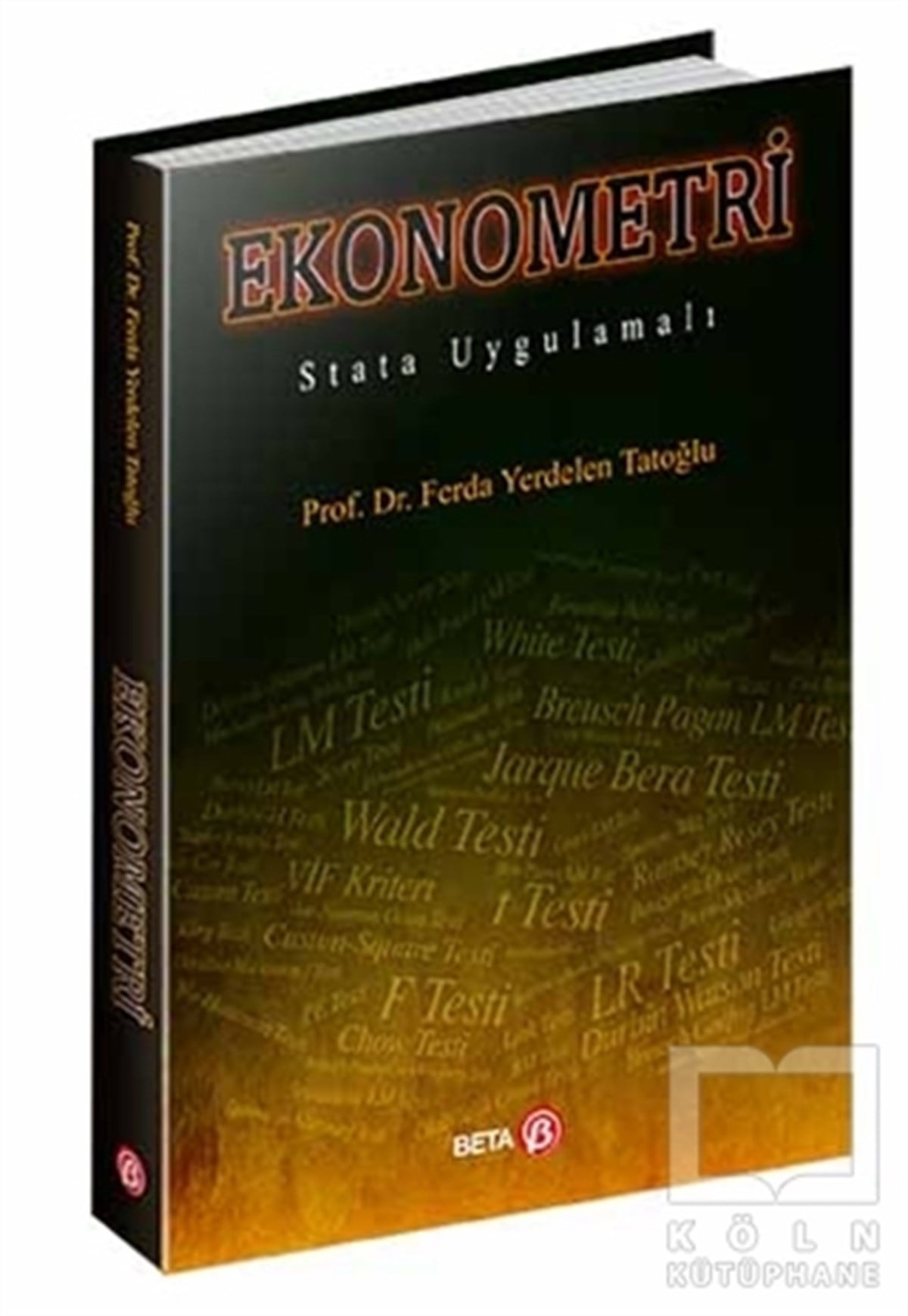 Ferda Yerdelen TatoğluAkademikEkonometri