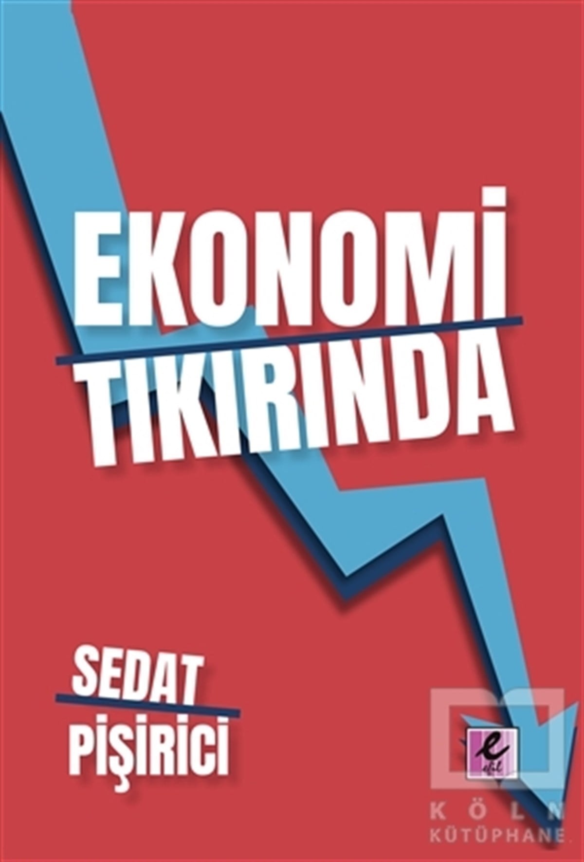 Sedat PişiriciAraştırma & İnceleme & Kuram KitaplarıEkonomi Tıkırında