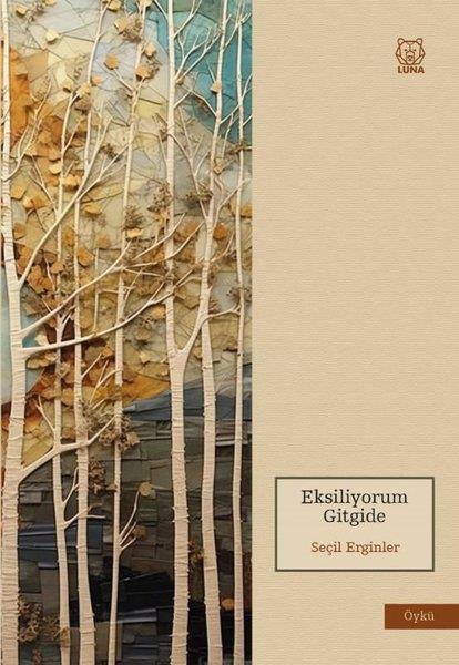 Seçil ErginlerHikaye (Öykü) KitaplarıEksiliyorum Gitgide