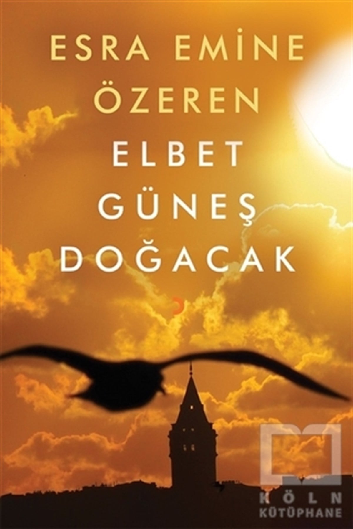 Esra Emine ÖzerenTürkçe RomanlarElbet Güneş Doğacak