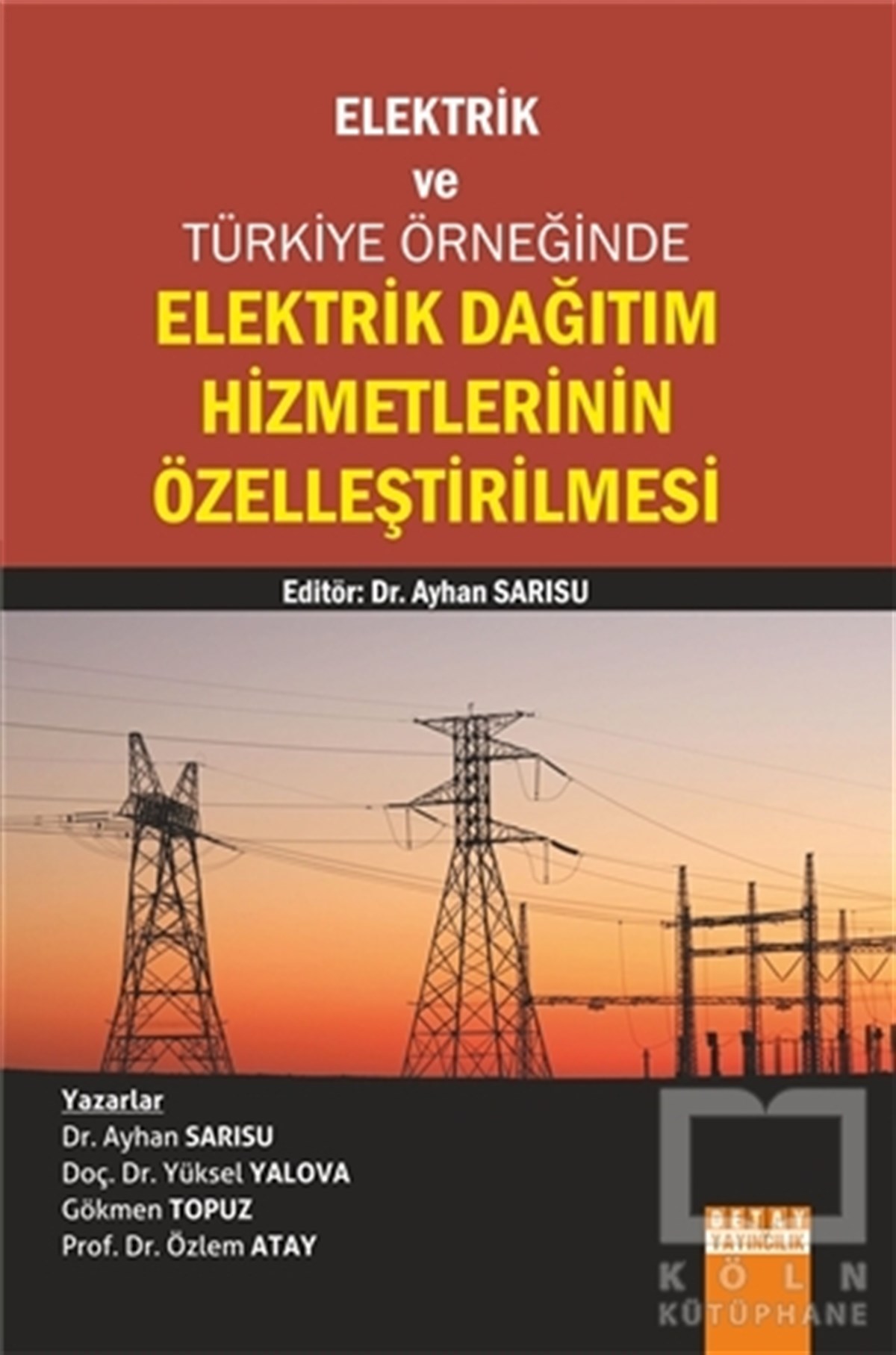 Ayhan Sarısuİşletme, Muhasebe, MaliyeElektrik Dağıtım Hizmetlerinin Özelleştirilmesi