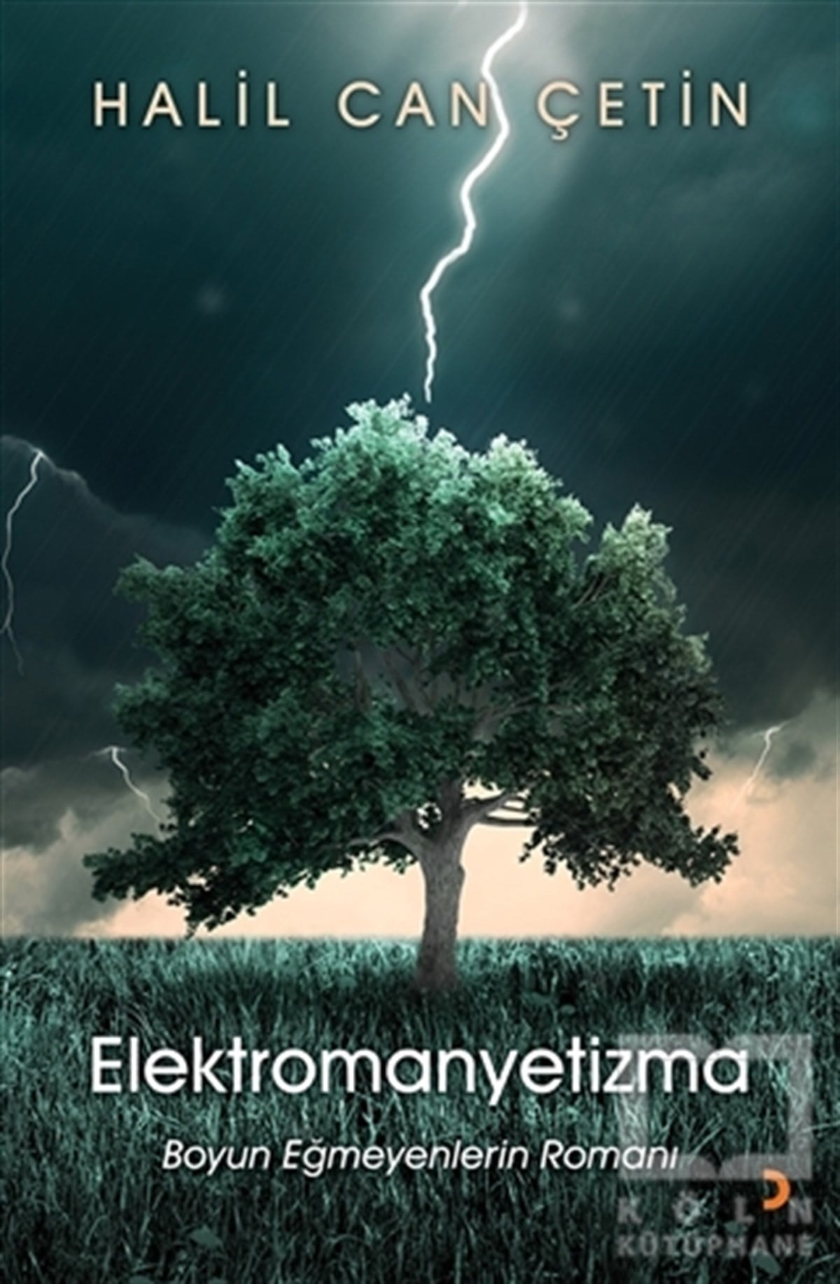Halil Can ÇetinRomanElektromanyetizma