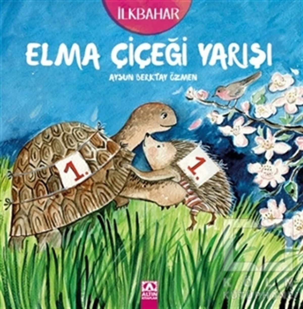 Aysun Berktay ÖzmenHikayelerElma Çiçeği Yarışı