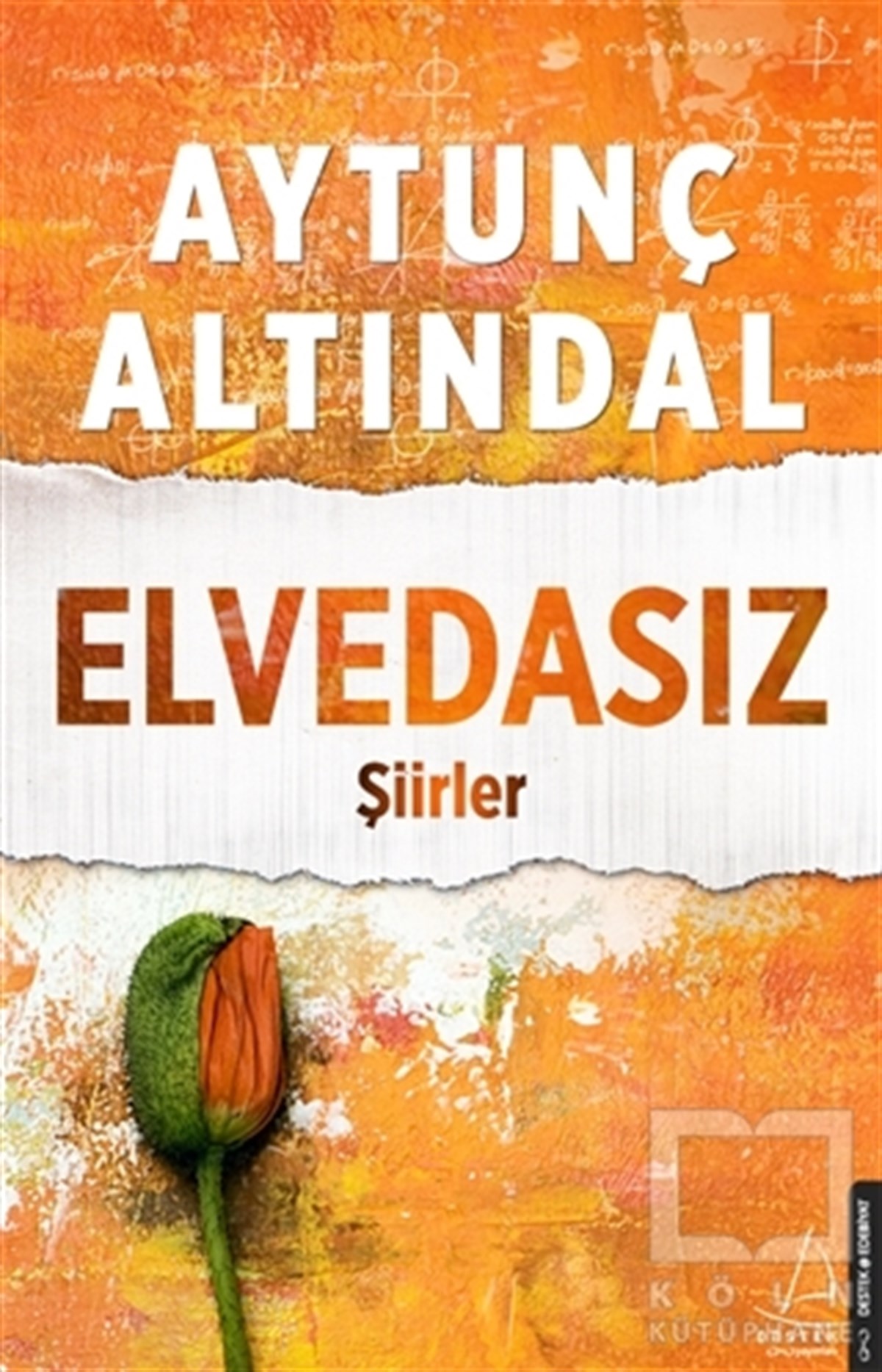 Aytunç AltındalŞiirElvedasız