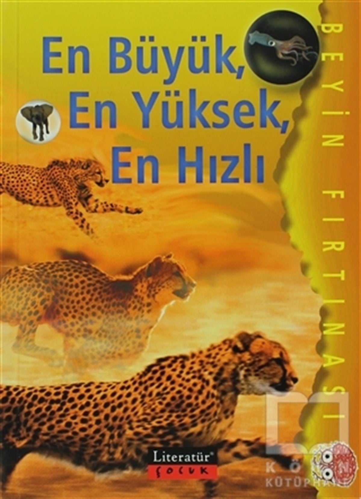 Ian RohrBilimsel KitaplarEn Büyük, En Yüksek, En Hızlı