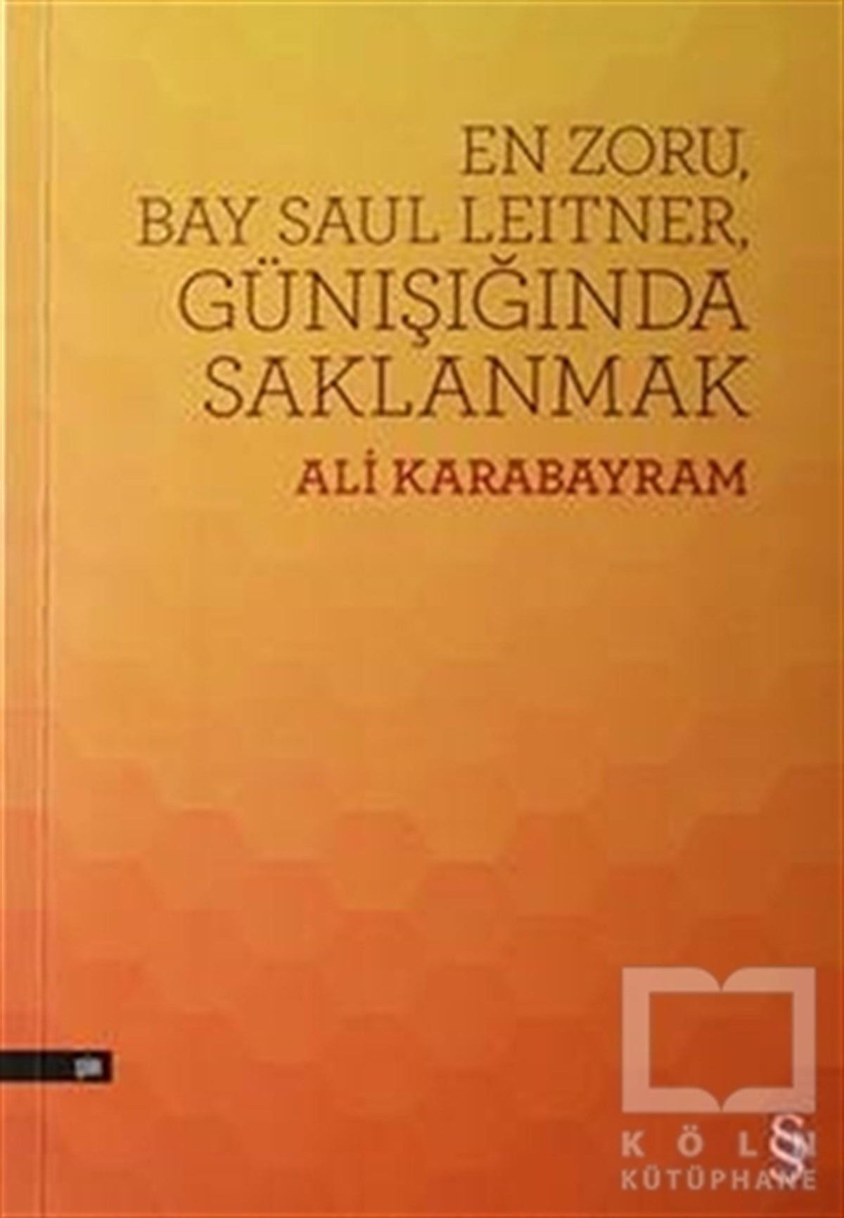Ali KarabayramŞiirEn Zoru, Bay Saul Leitner, Günışığında Saklanmak