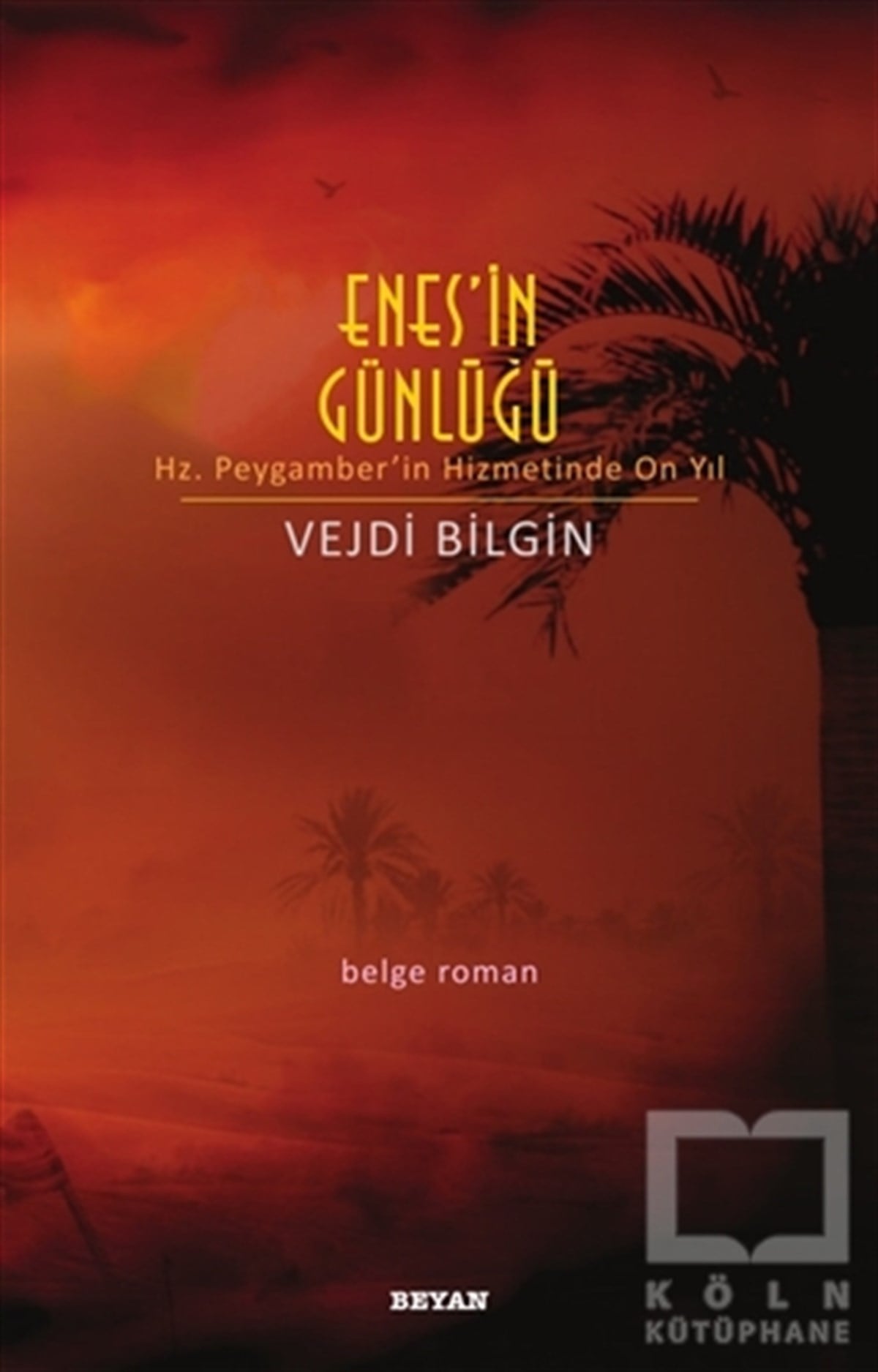 Vejdi BilginRomanEnes'in Günlüğü
