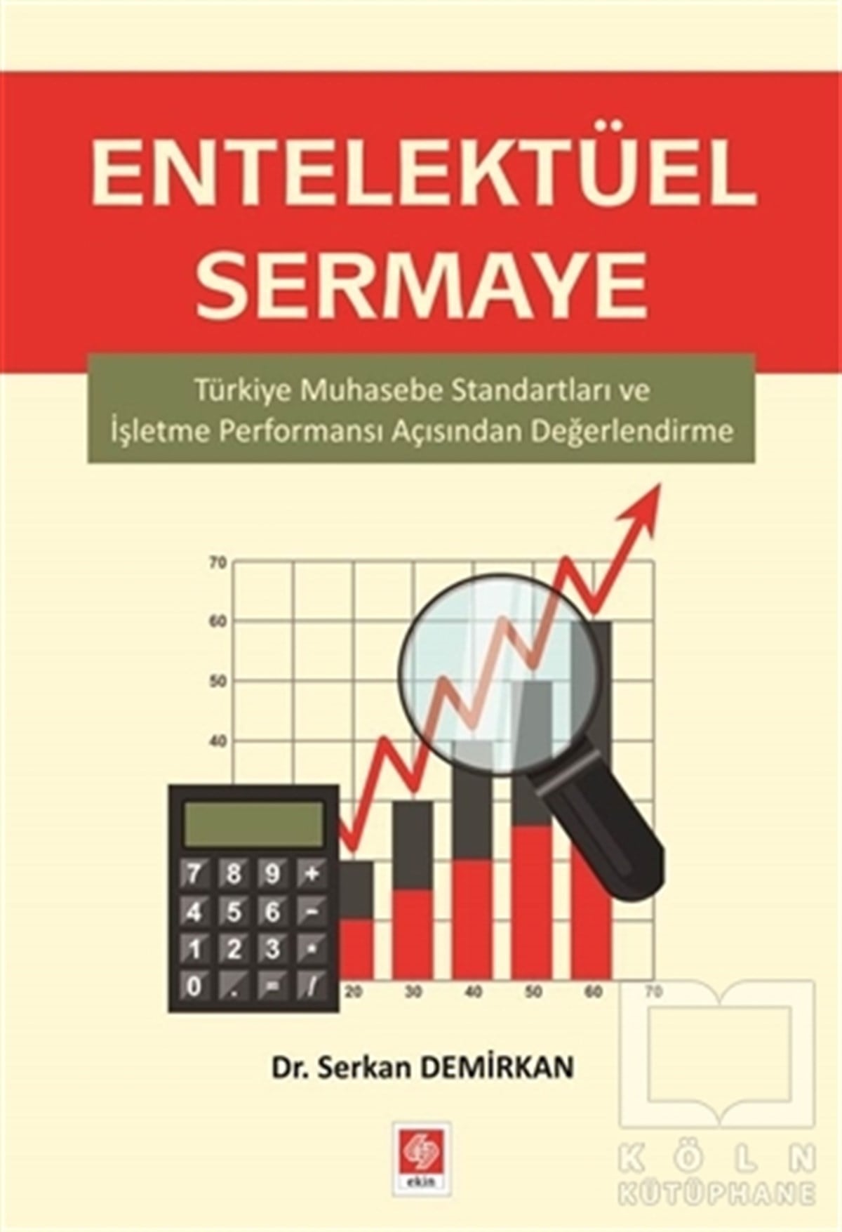 Serkan DemirkanDiğerEntelektüel Sermaye