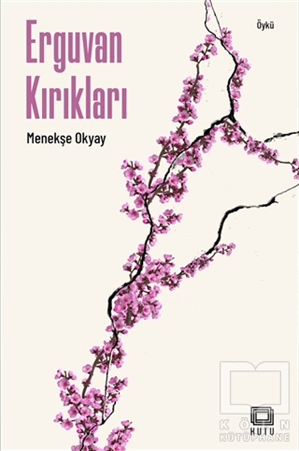 Menekşe OkyayHikaye (Öykü) KitaplarıErguvan Kırıkları
