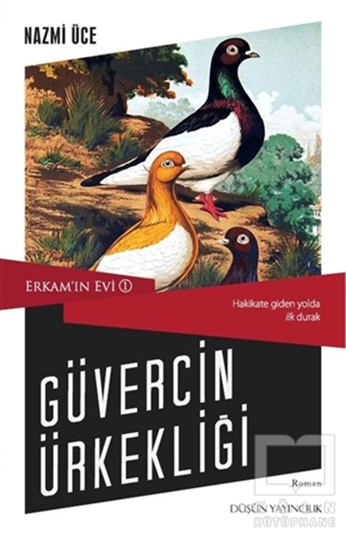 Nazmi ÜceRomanErkam’ın Evi 1 - Güvercin Ürkekliği