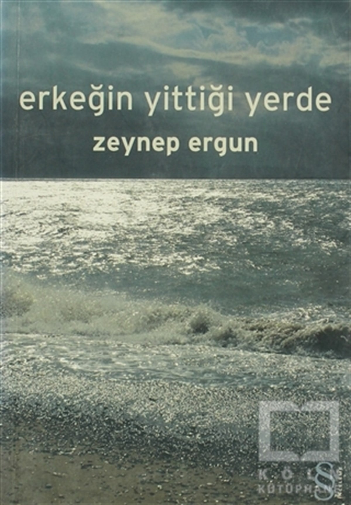 Zeynep ErgunDenemeErkeğin Yittiği Yerde