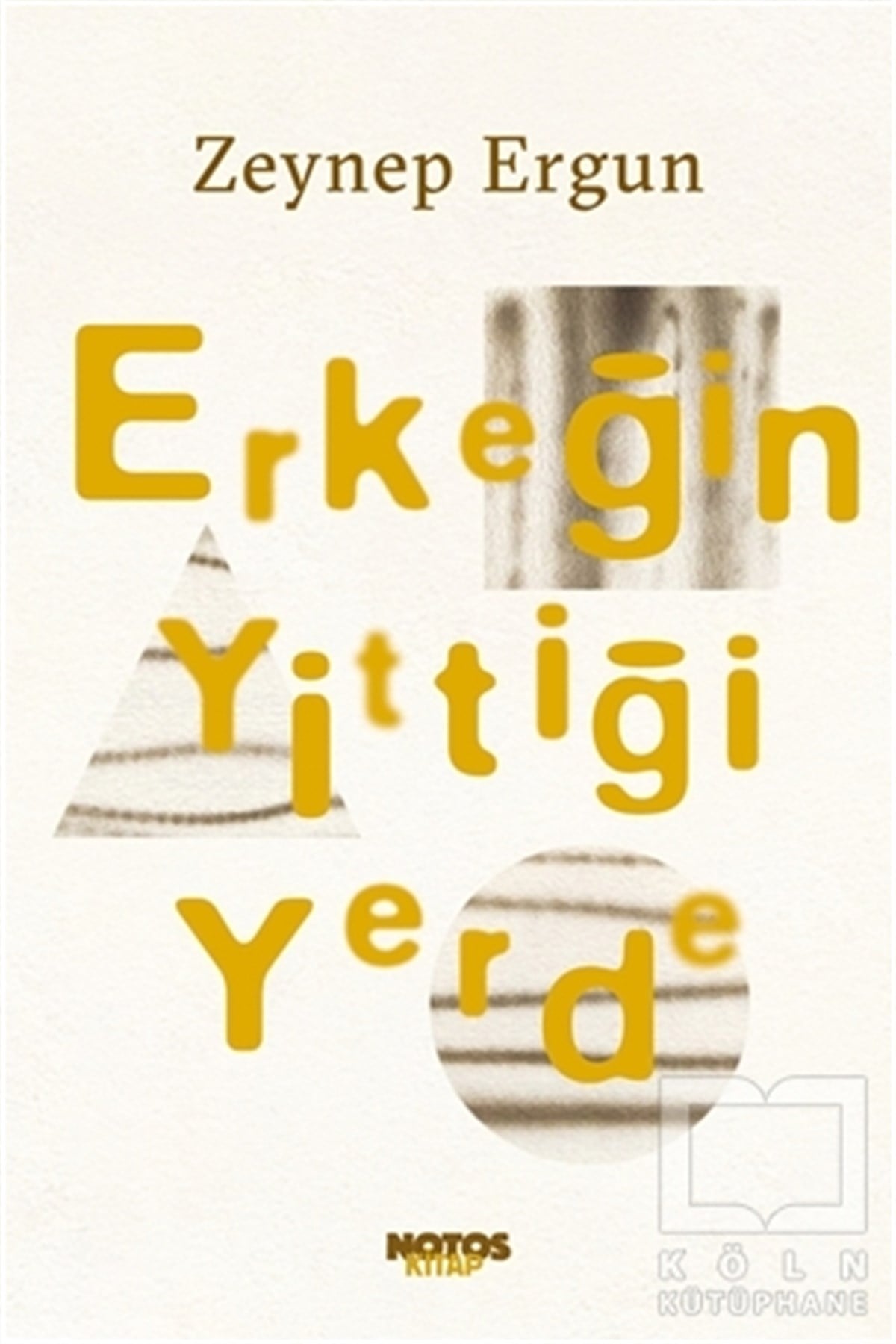 Zeynep ErgunEleştiri & Kuram & İnceleme KitaplarıErkeğin Yittiği Yerde