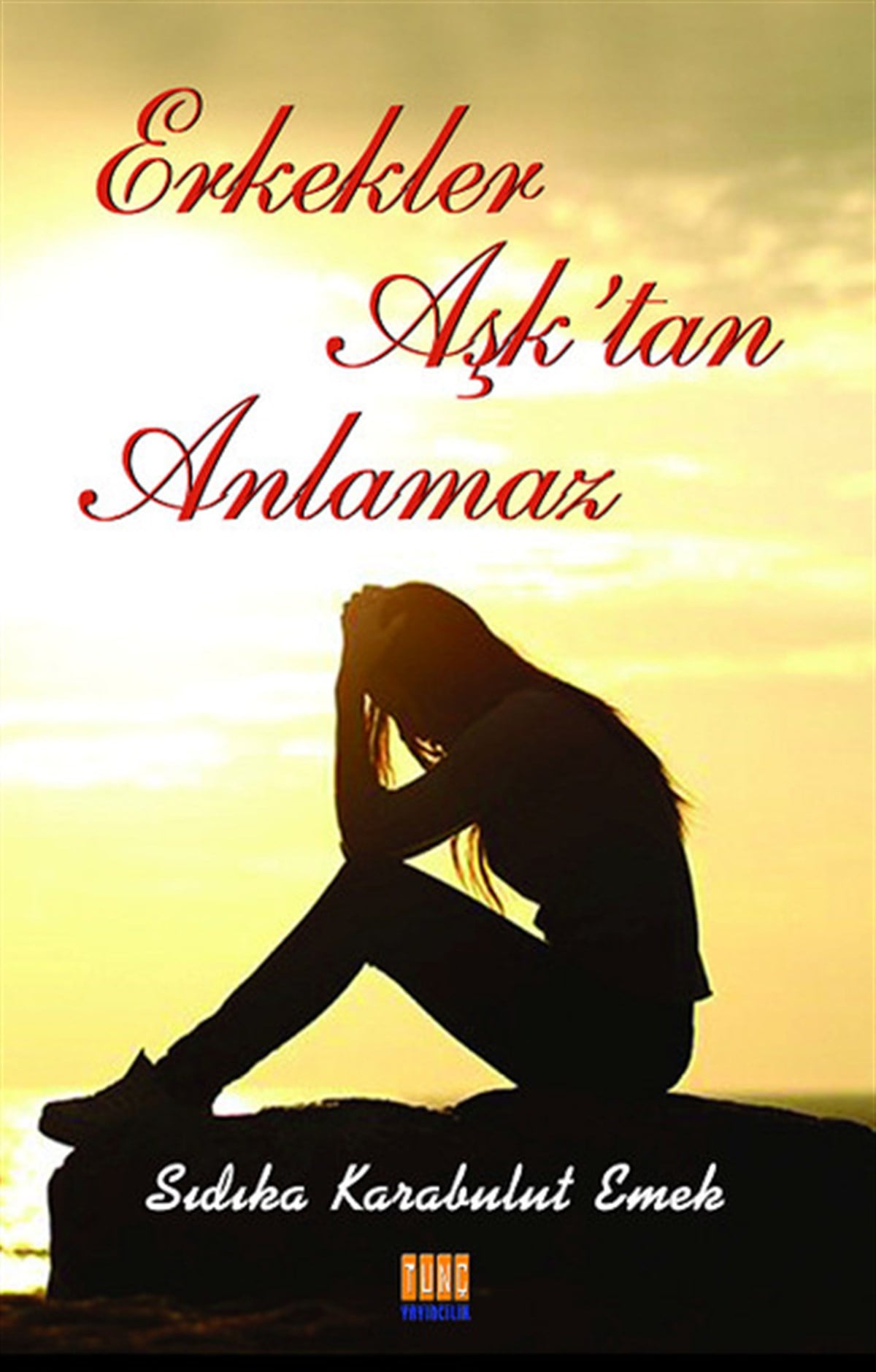 Sıdıka Karabulut EmekDeneme KitaplarıErkekler Aşk'tan Anlamaz