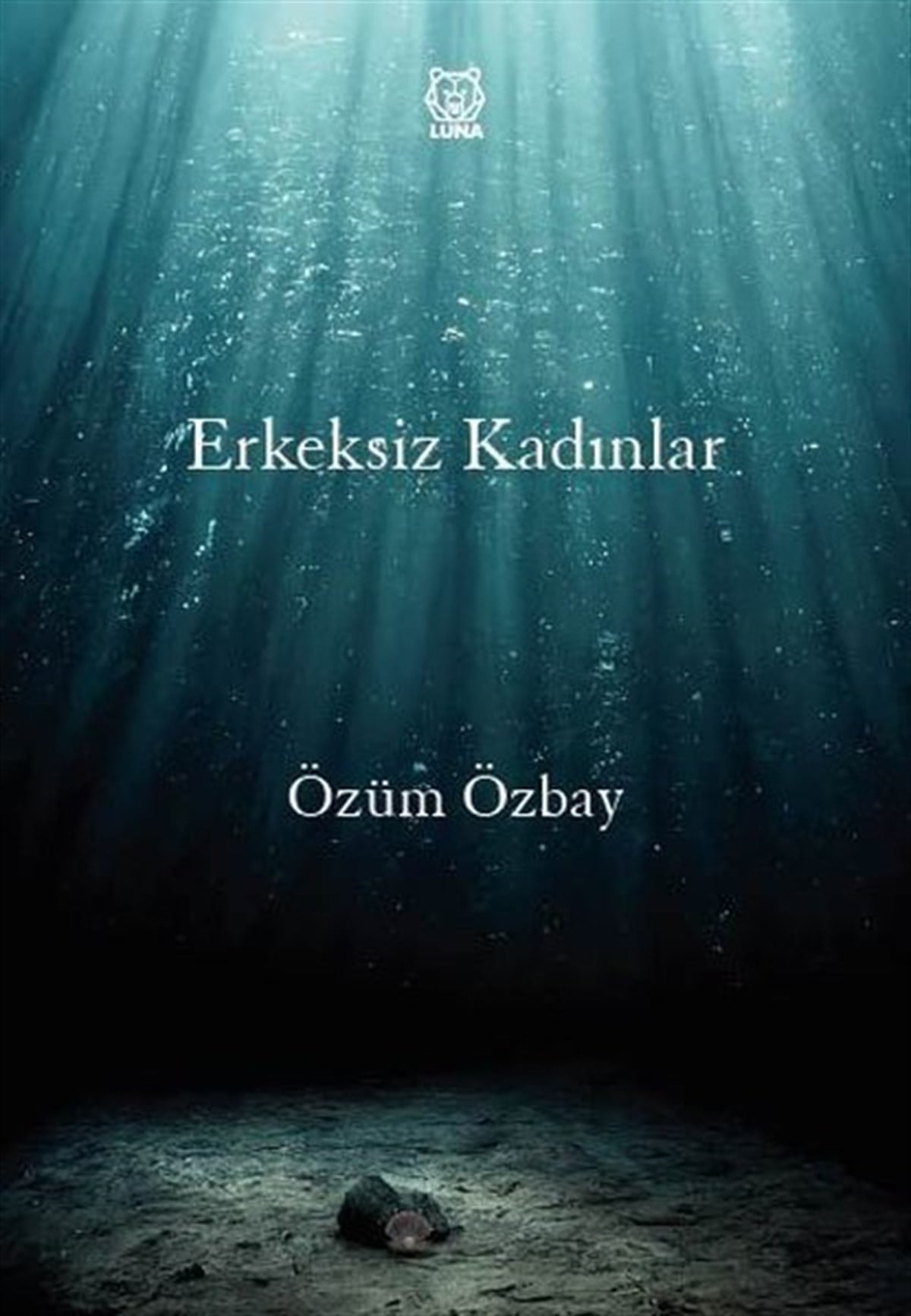 Özüm ÖzbayTürkiye RomanErkeksiz Kadınlar
