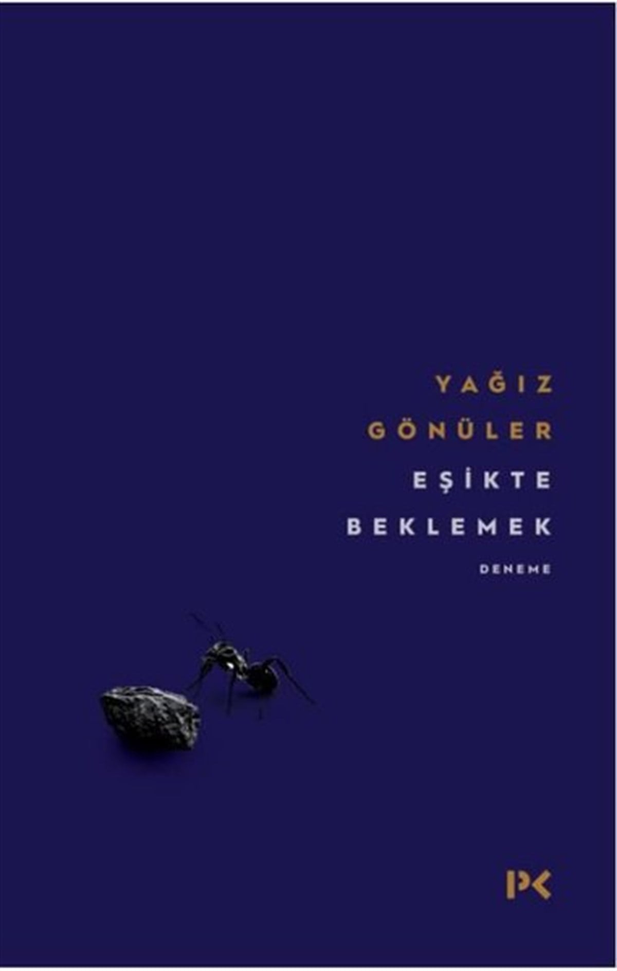 Yağız GönülerDeneme KitaplarıEşikte Beklemek