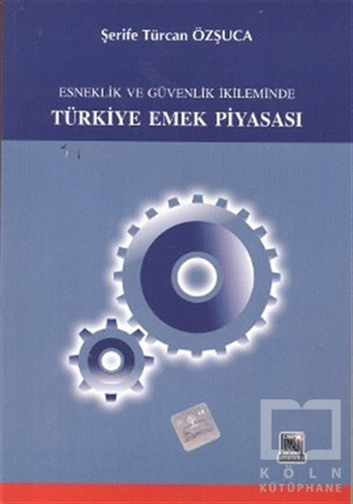 Şerife Türcan ÖzşucaTürkiye Ekonomisi KitaplarıEsneklik ve Güvenlik İkileminde Türkiye Emek Piyasası