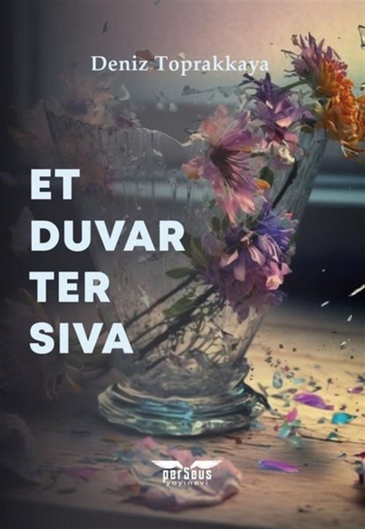 Deniz ToprakkayaTürkiye RomanEt Duvar Ter Sıva