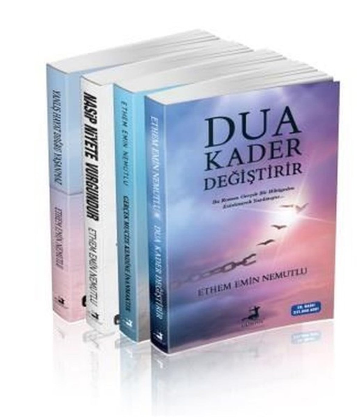 Ethem Emin NemutluDeneme KitaplarıEthem Emin Nemutlu Seti - 4 Kitap Takım