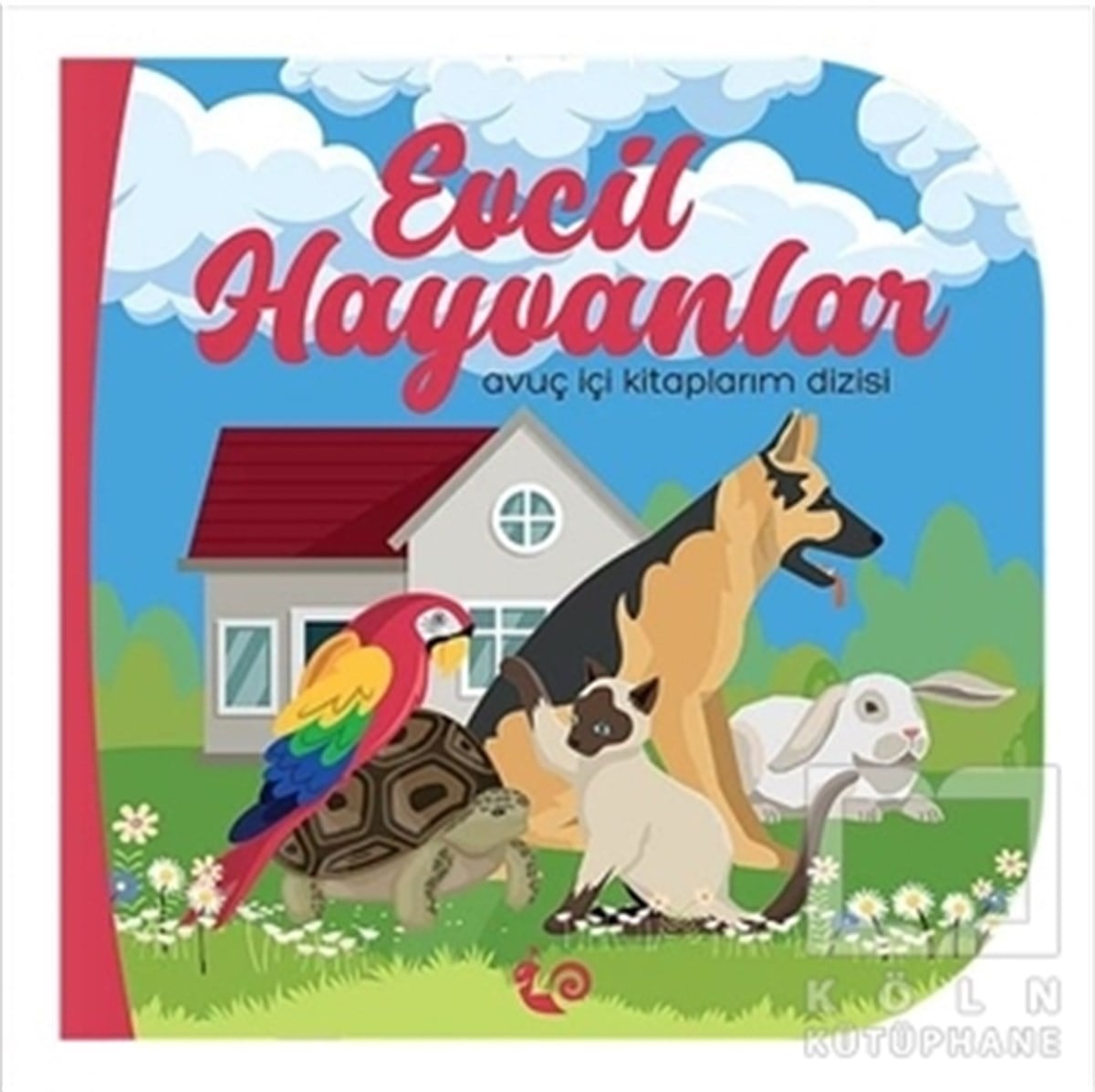 Meltem Erinçmen KanoğluEtkinlik KitaplarıEvcil Hayvanlar