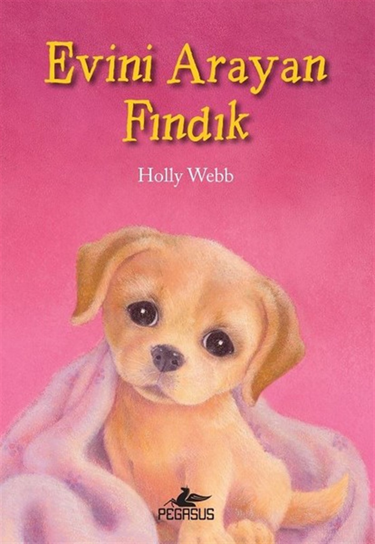 Holly WebbÇocuk Masal KitaplarıEvini Arayan Fındık