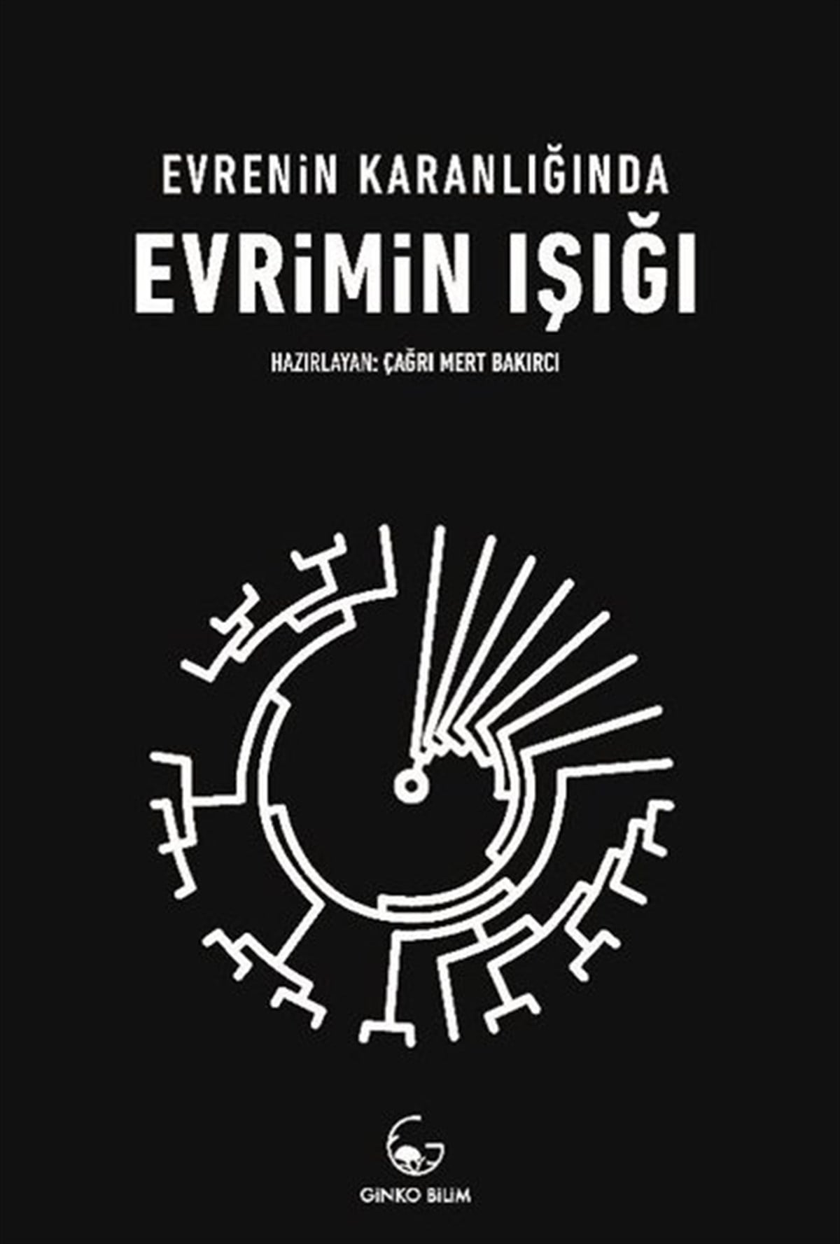 KolektifPopüler Bilim KitaplarıEvrenin Karanlığında Evrimin Işığı