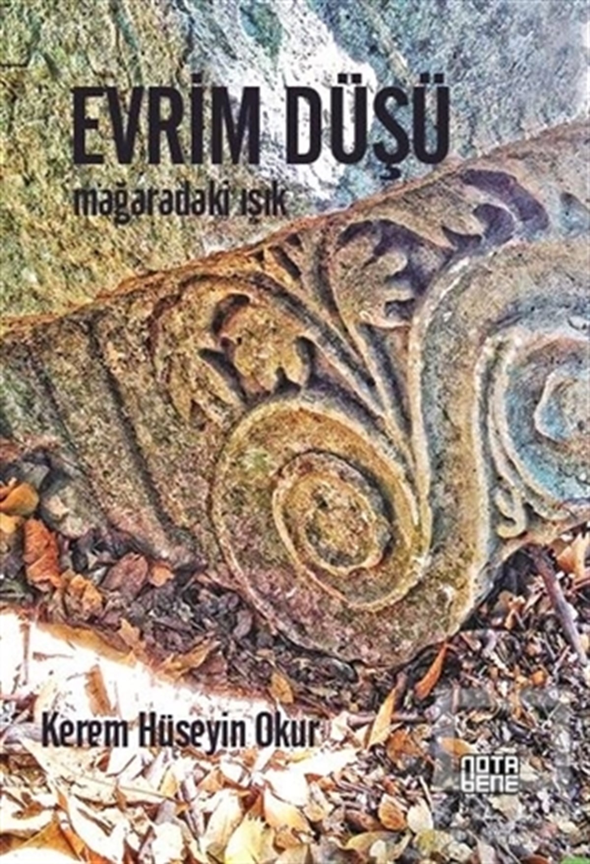 Kerem Hüseyin OkurRomanEvrim Düşü