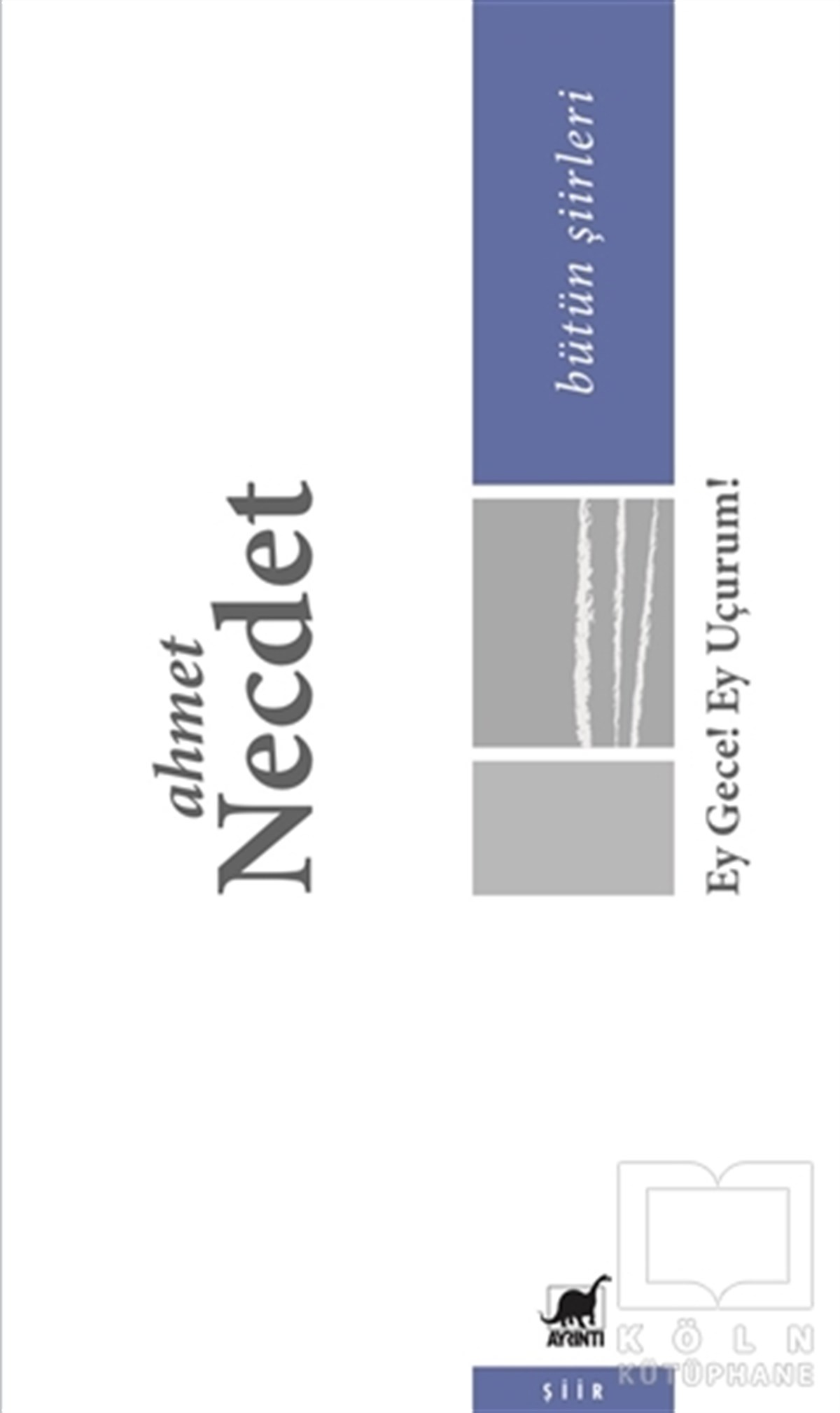 Ahmet NecdetŞiirEy Gece! Ey Uçurum!