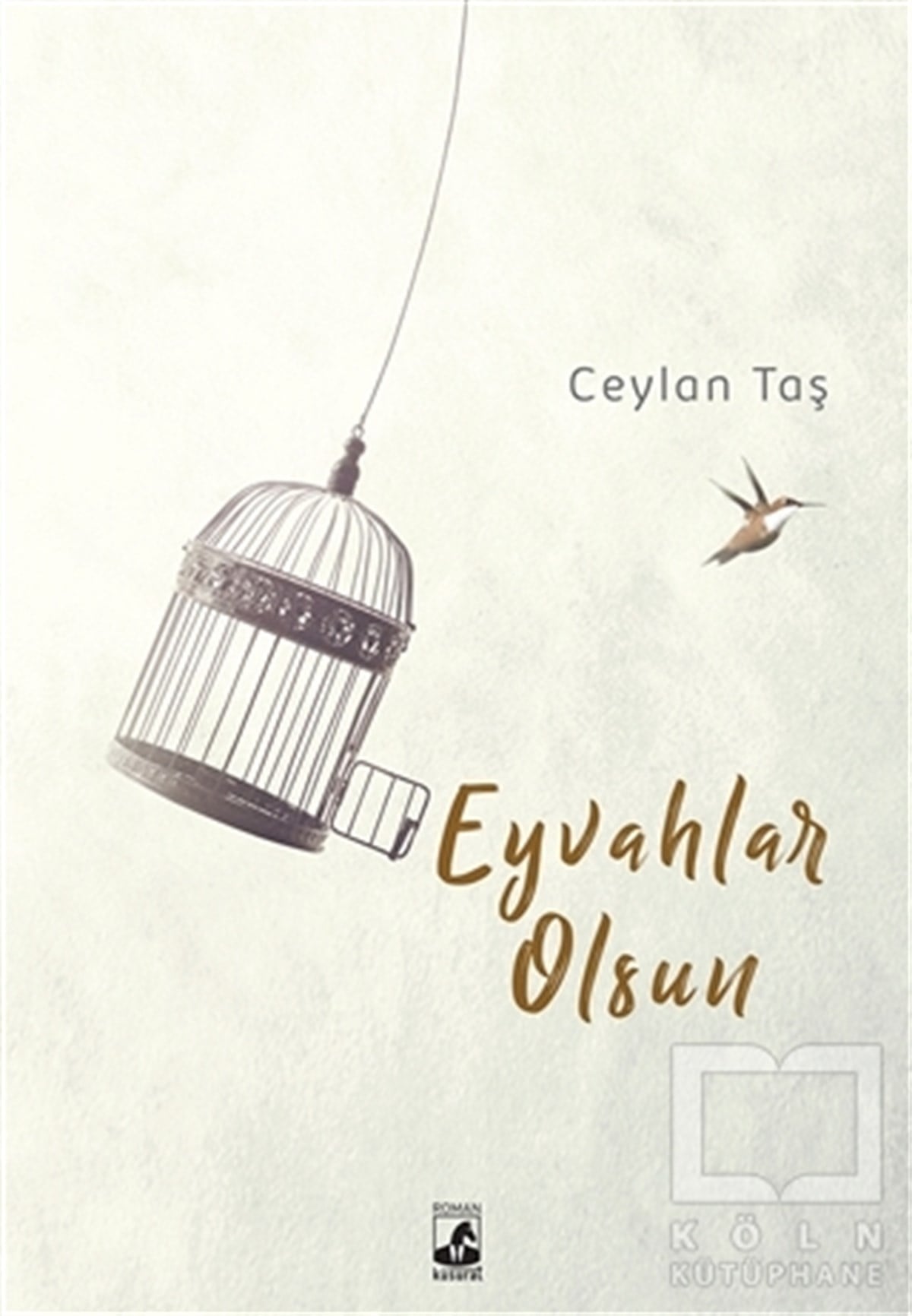 Ceylan TaşTürkçe RomanlarEyvahlar Olsun
