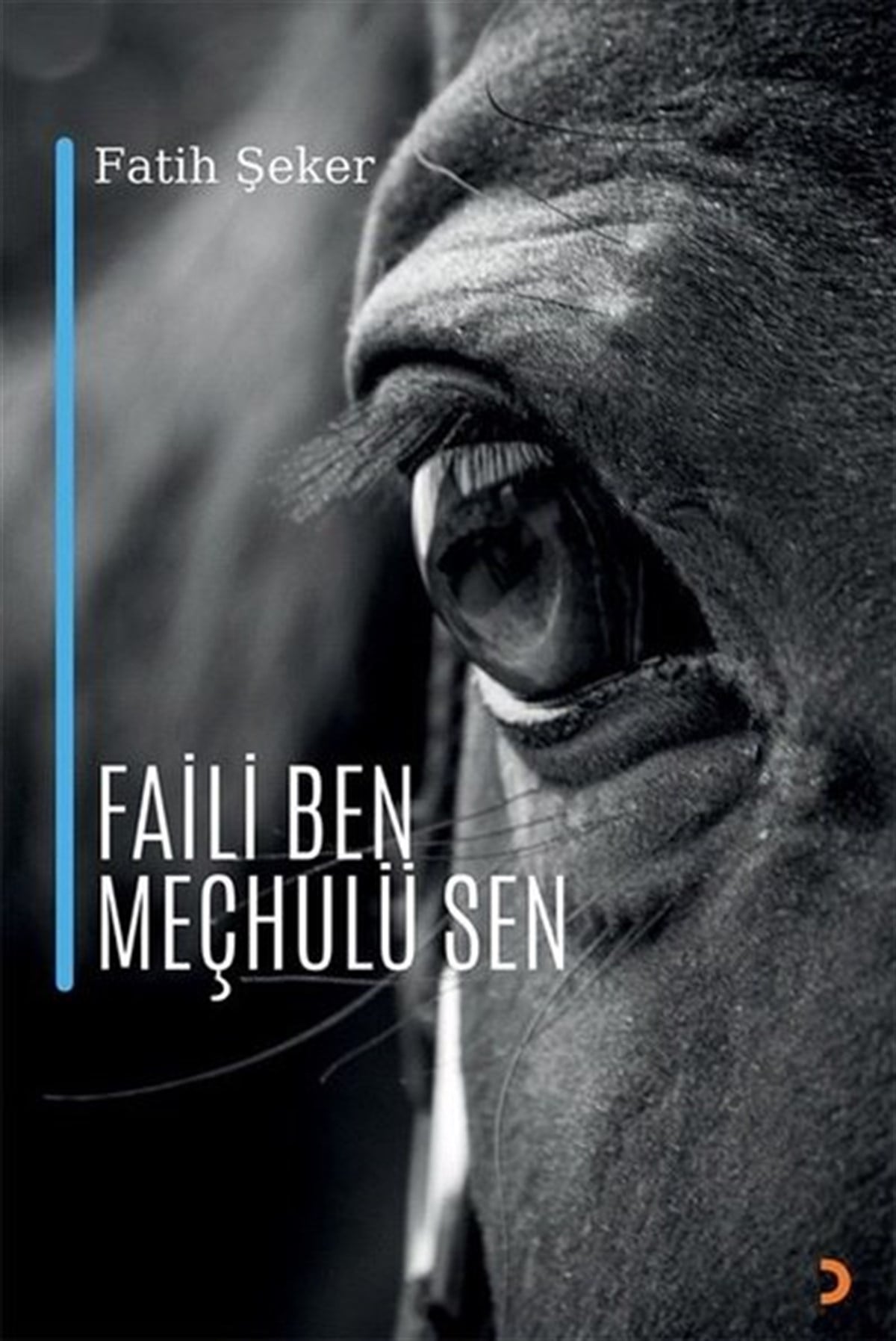 Fatih ŞekerTürk ŞiiriFaili Ben Meçhulü Sen