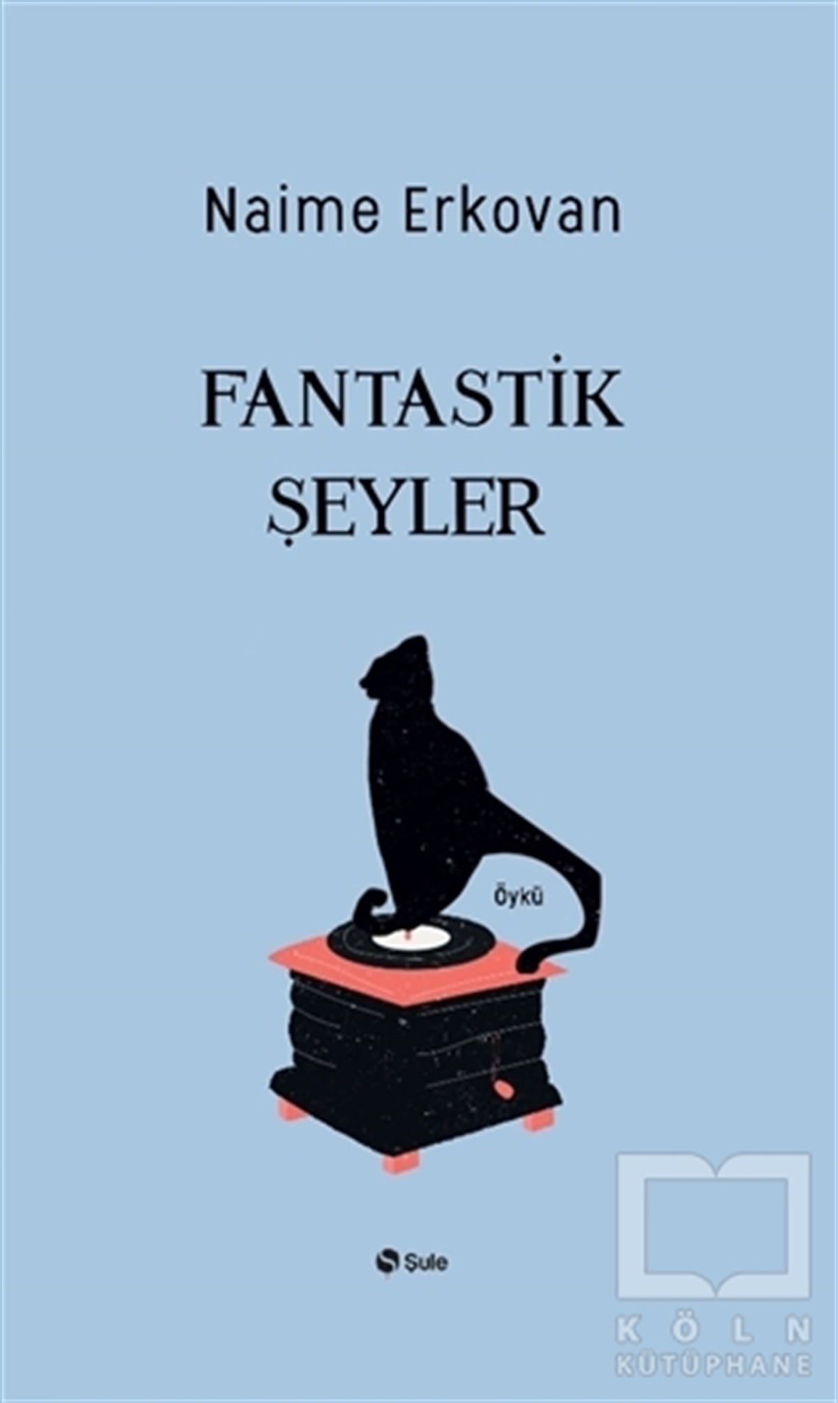 Naime ErkovanHikaye (Öykü) KitaplarıFantastik Şeyler