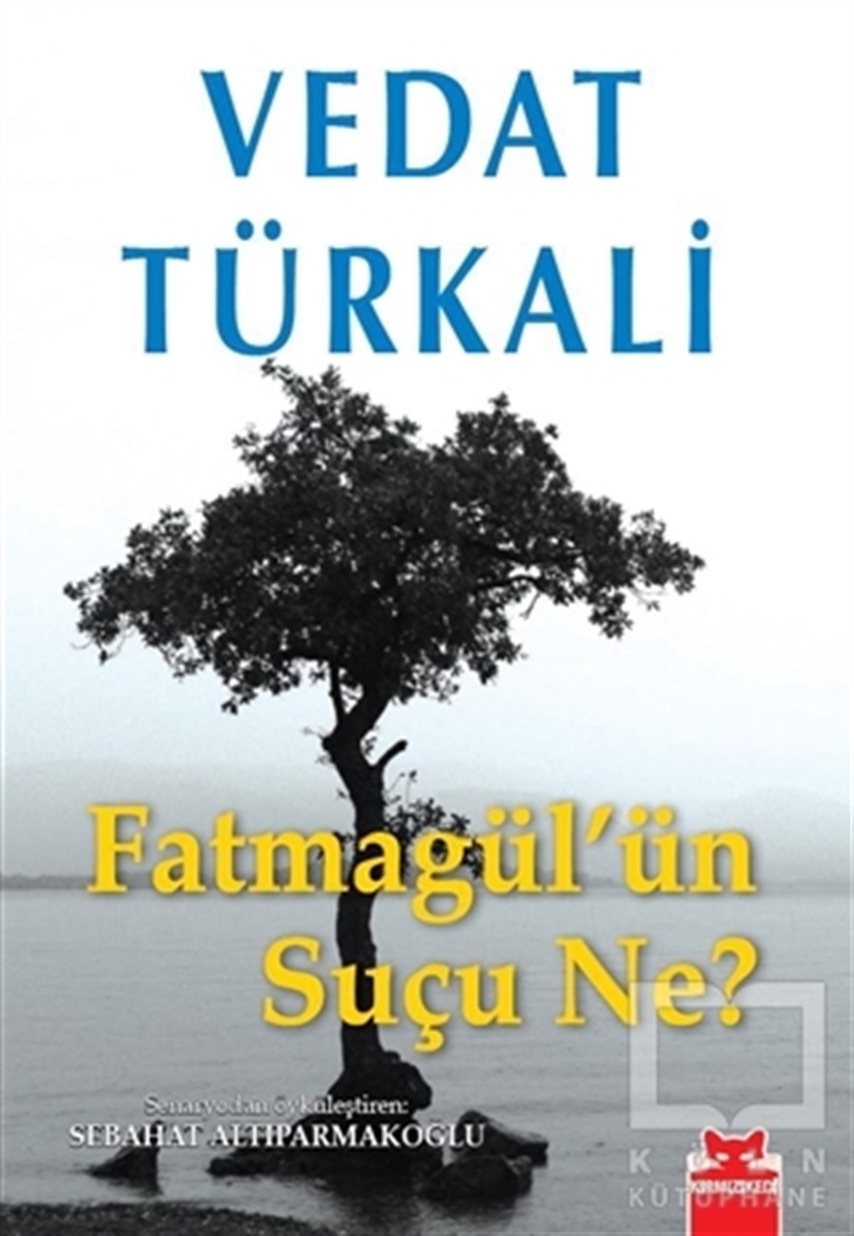 Vedat TürkaliTürk EdebiyatıFatmagül’ün Suçu Ne?