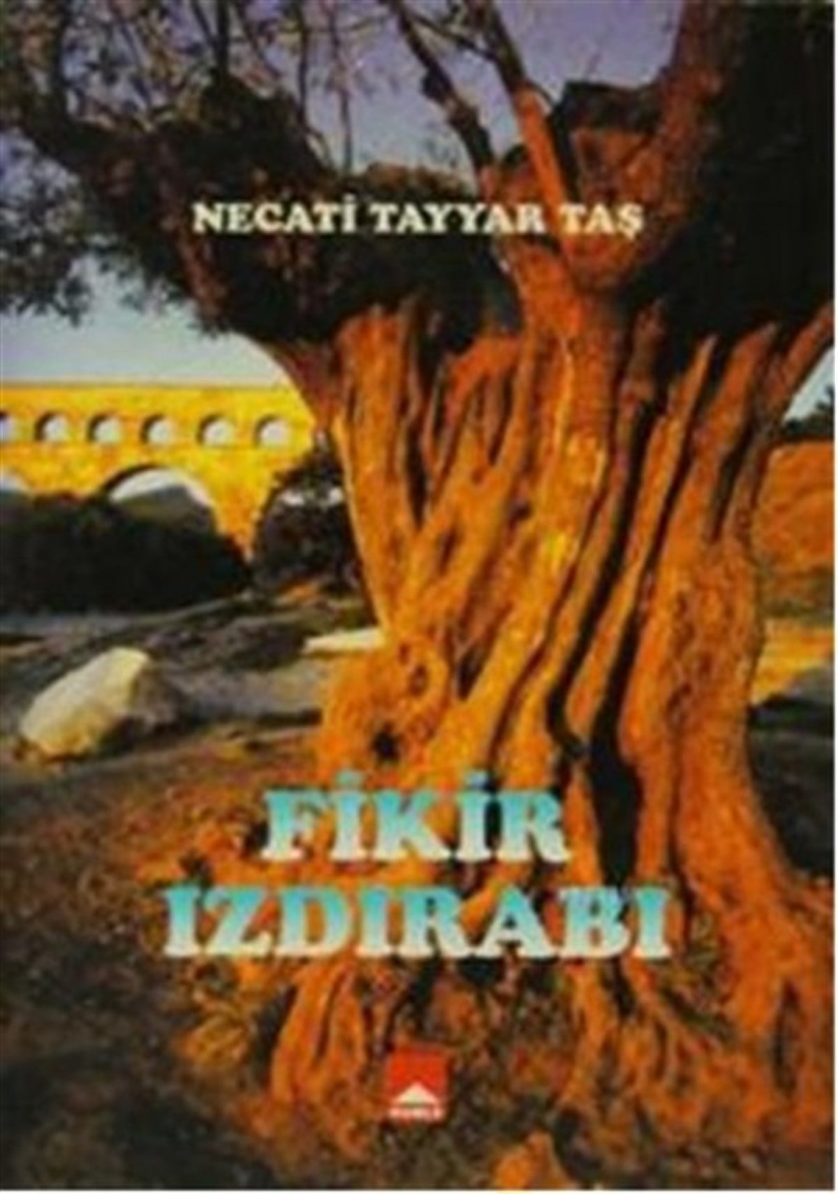Necati Tayyar TaşTürkiye RomanFikir Izdırabı